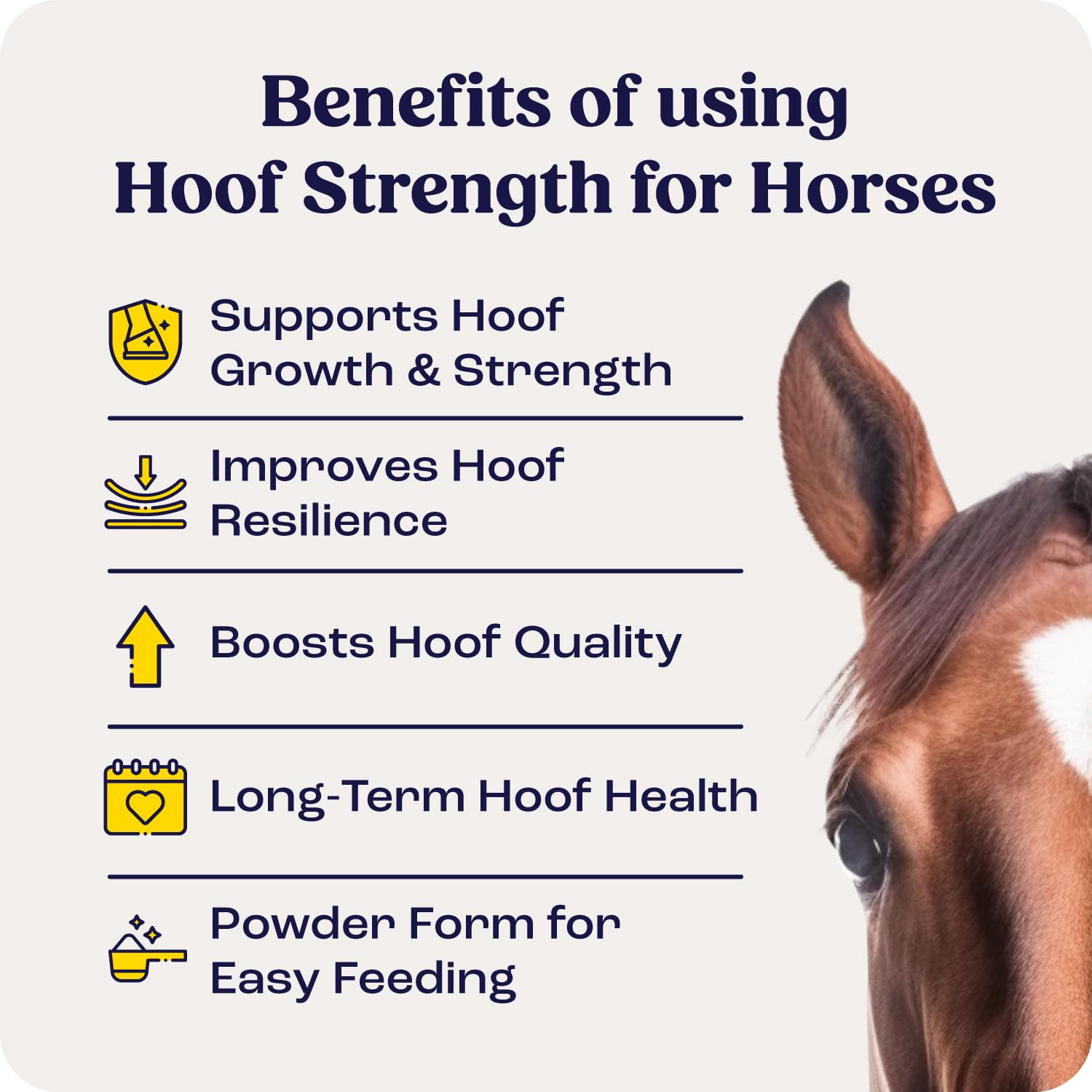 Summit Equine Hoof Strength Powder for Horses, Promotes Healthy Hooves with Biotin, Amino Acids, and Minerals, Horse Hoof Supple
