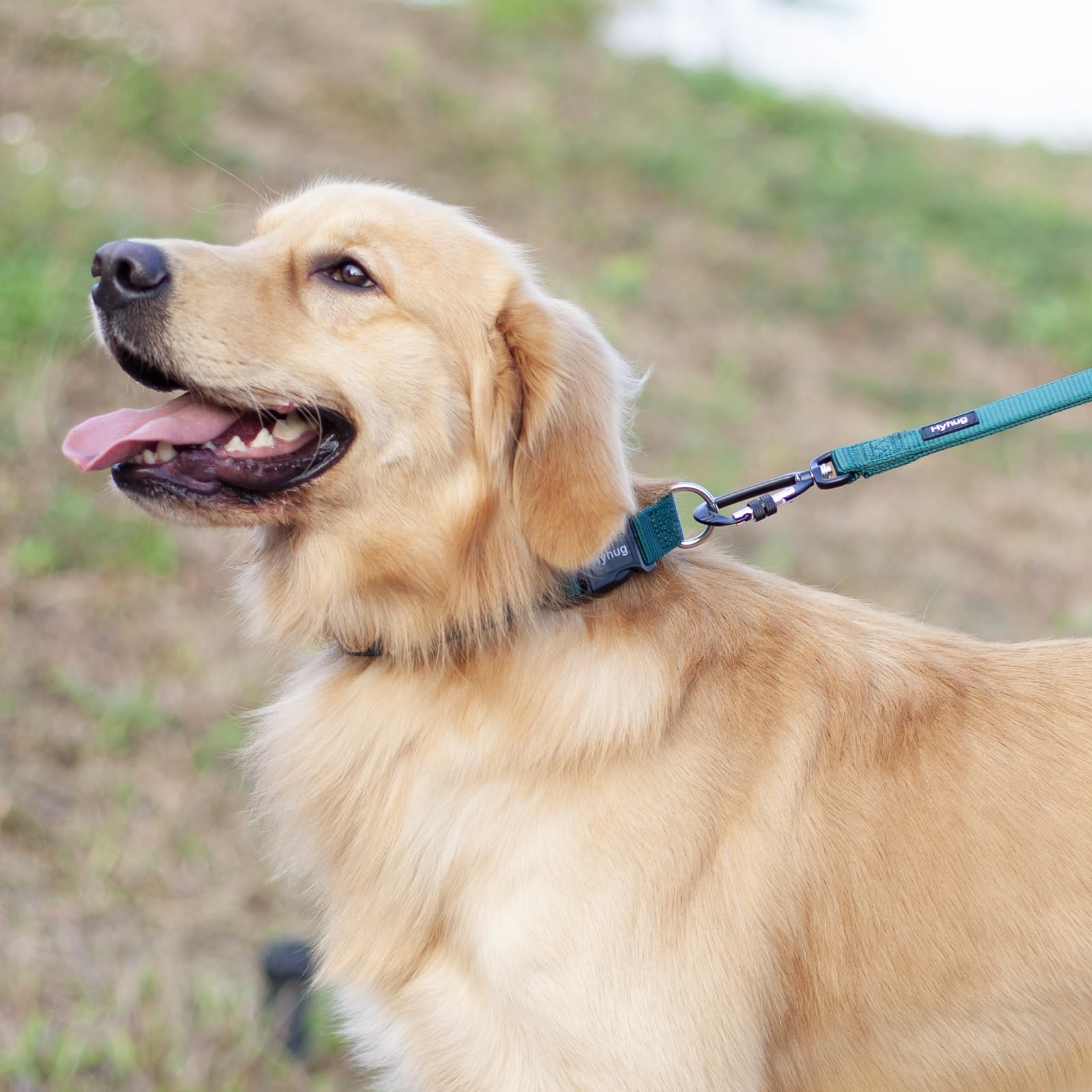 Hyhug Pets Solid Color Classic Regular Heavy Duty Basic Collar For Large Breeds Dogs Daily Use, Unique Design Adjustment Triglid