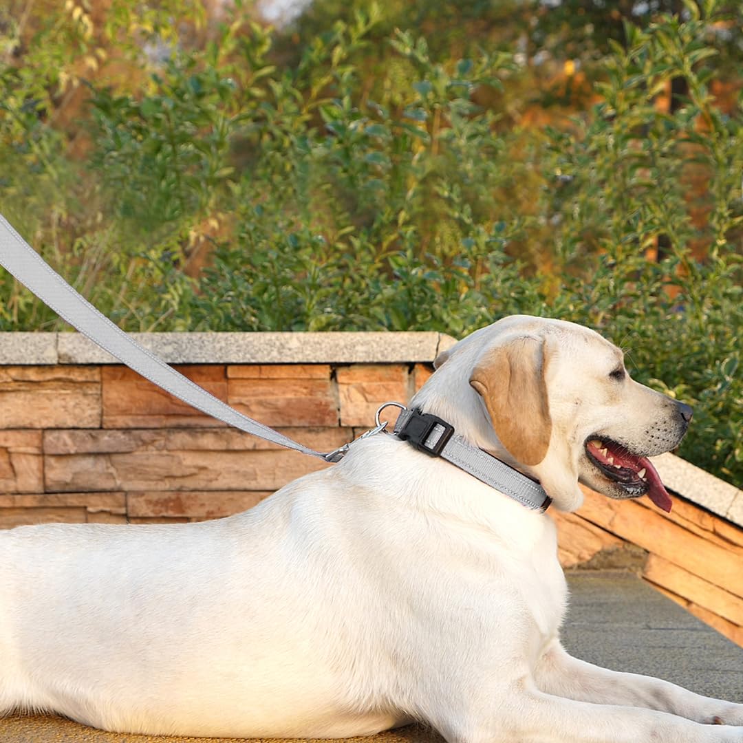 Penseepet Dog Leash 6 Ft Padded Handle Nylon Reflective Dogs Leashes For Small Dogs Silver