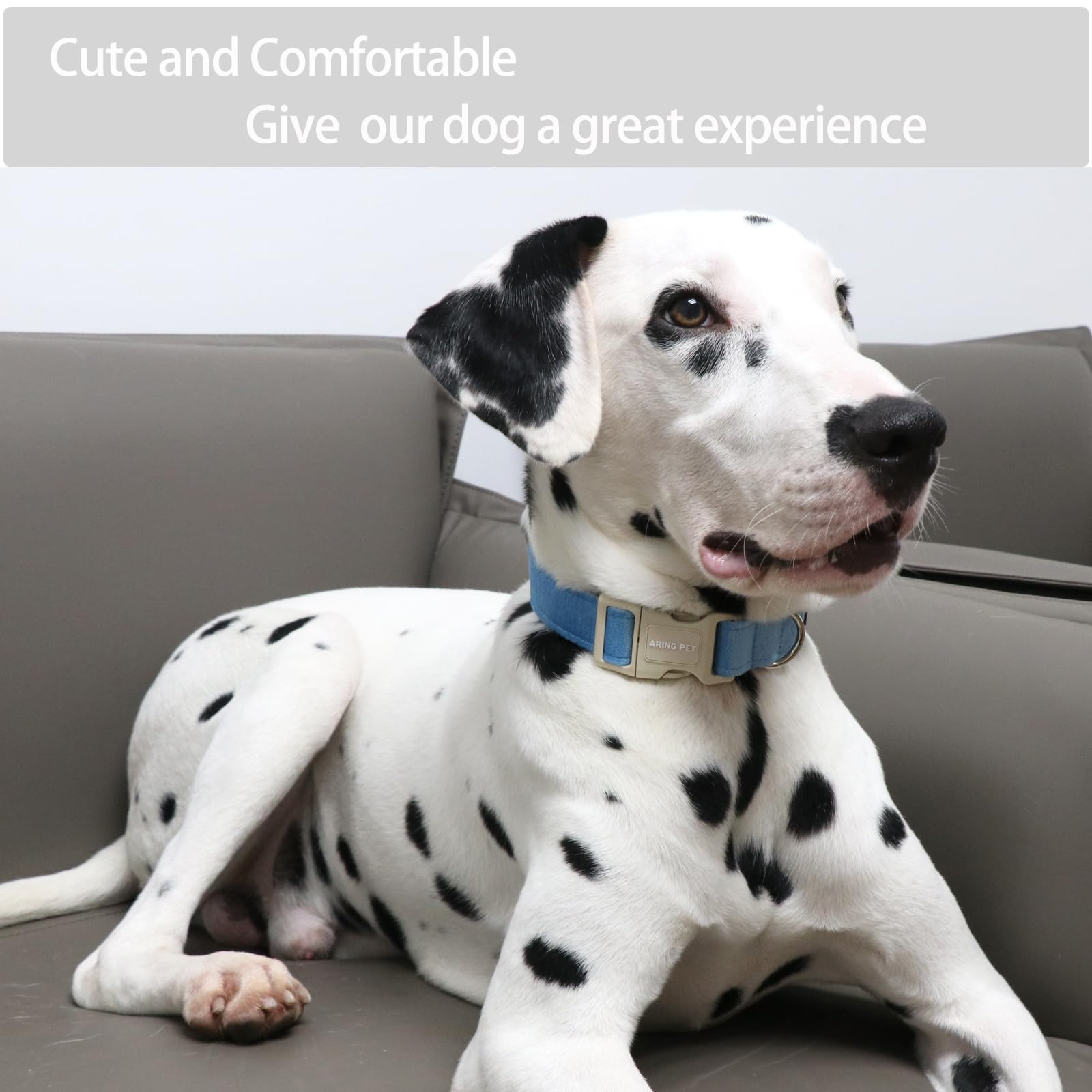 Aring Pet Dog Collar-Adjustable Cotton Small Dog Collars, Lightweight Comfortable Blue Pet Collars With Quick Release Buckle For