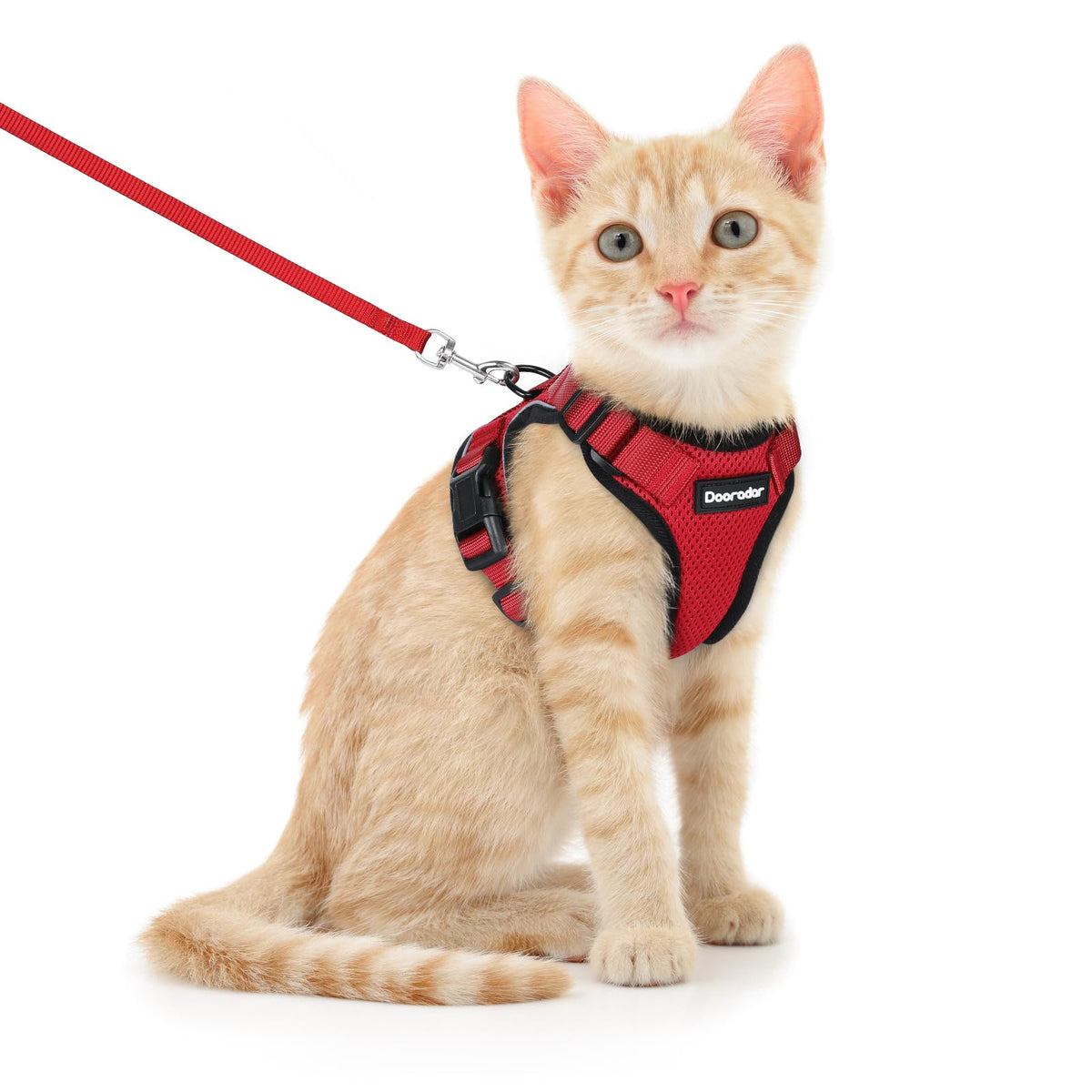 Dooradar Cat Harness And Leash Set, Escape Proof Safe Adjustable Kitten Vest Harnesses For Walking, Easy Control Soft Breathable Mesh Jacket With Reflective Strips For Cats, Red, Xs