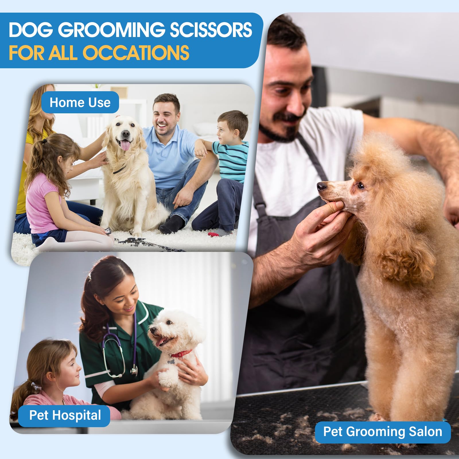 Jason Dog Grooming Scissors Kit, Professional 6 In 1 Dog Scissors Sharp Shears Set - 7.5'' Thinning, Chunker, Straight, Curved S