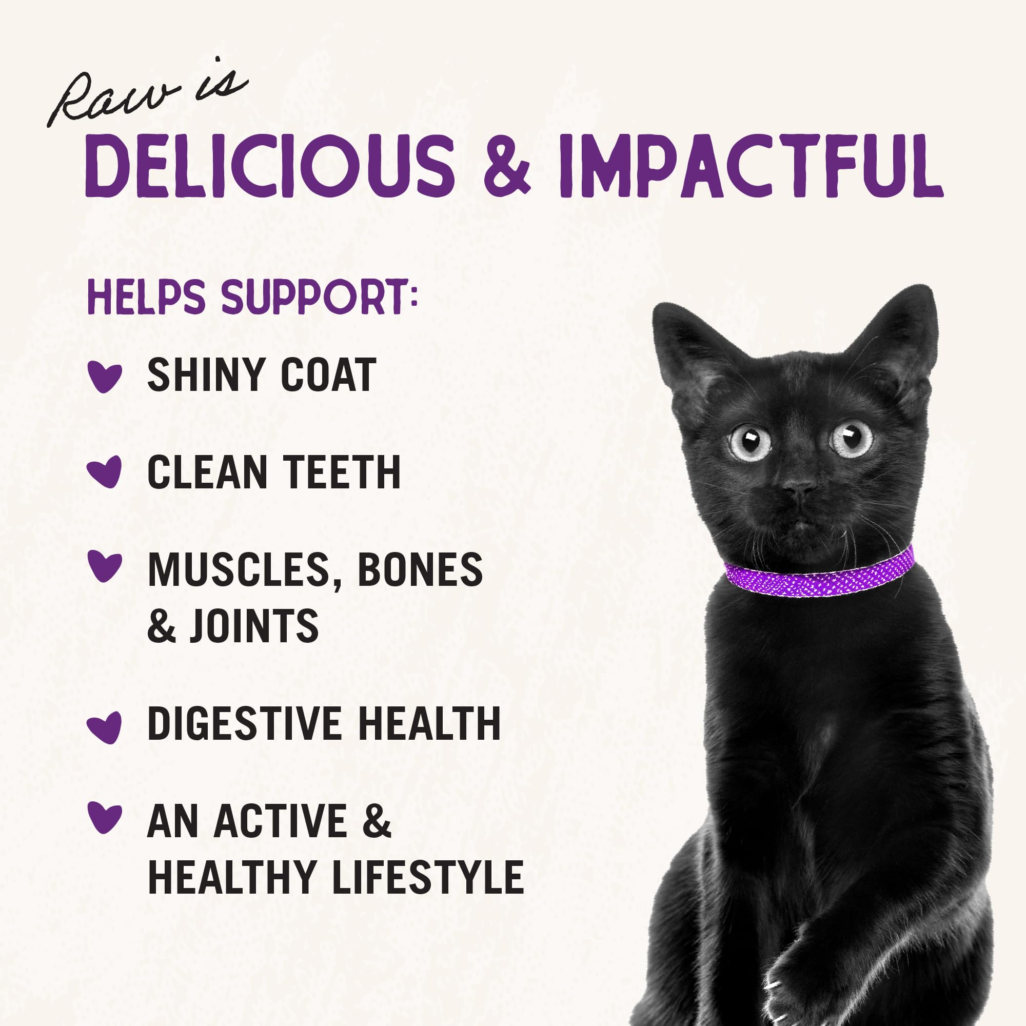 Stella & Chewys Freeze-Dried Raw Cat Dinner Morsels - Grain Free, Protein Rich Cat & Kitten Food - Sea-Licious Salmon & Cod Reci