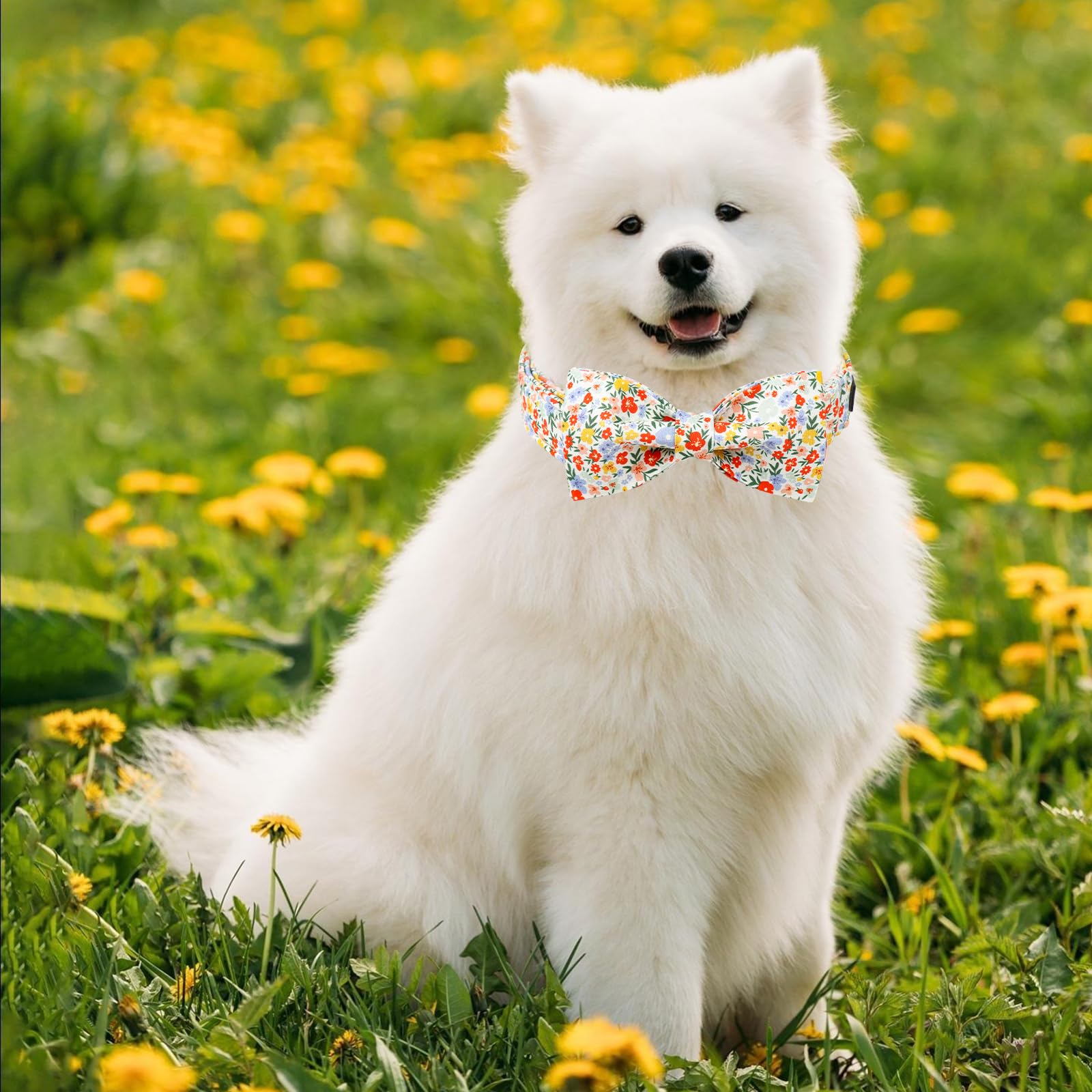 Unique Style Paws Summer Dog Collar With Bow, Lovely Bow Tie Dog Collar, Colorful Flower Dog Bow For Girl,Boy Dogs,Cats,S,10-16I