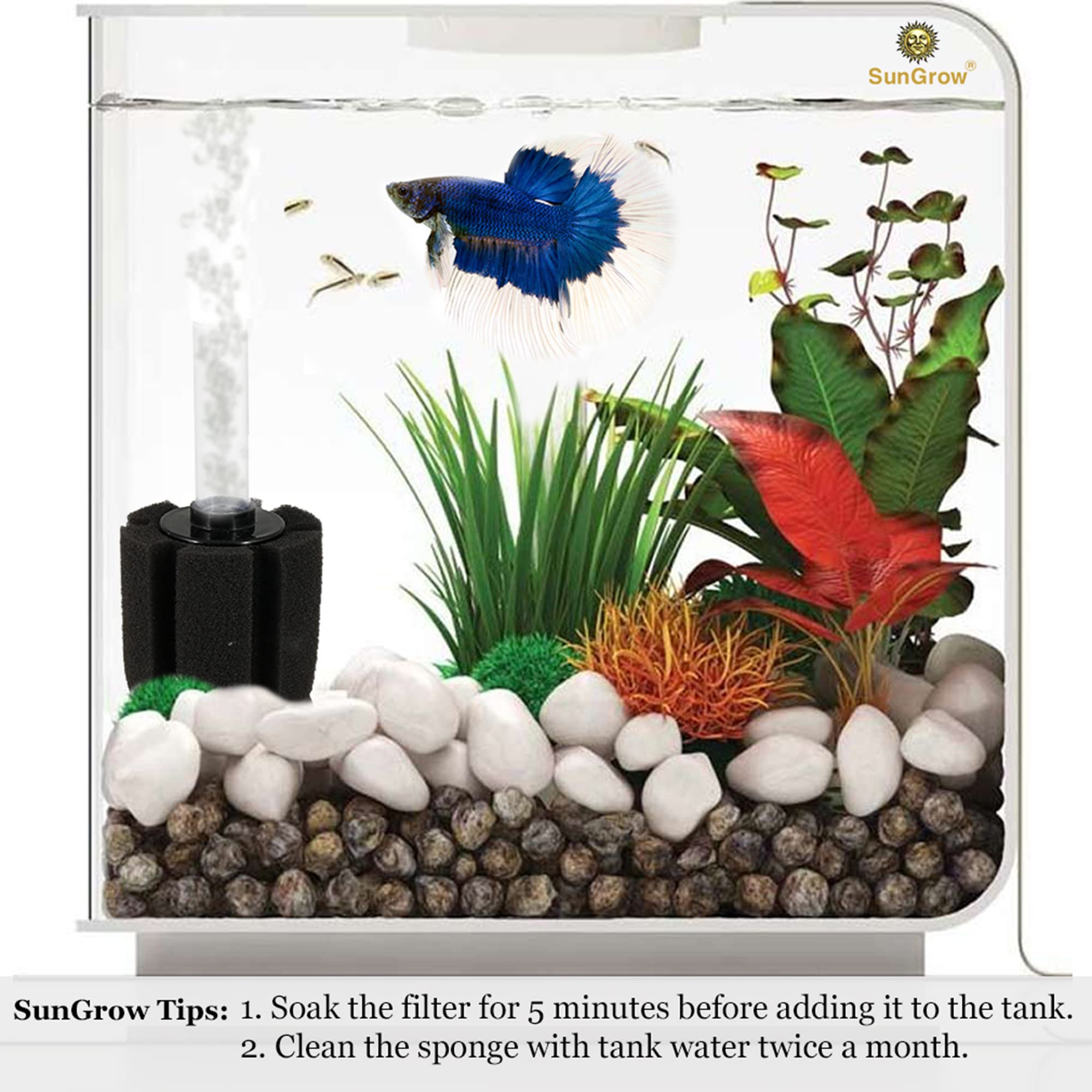 SunGrow 10-Gallon Betta Sponge Filter, Slow Current Fish Tank Filter, Perfect for Fry & Small Fish Aquarium, 3 Pieces
