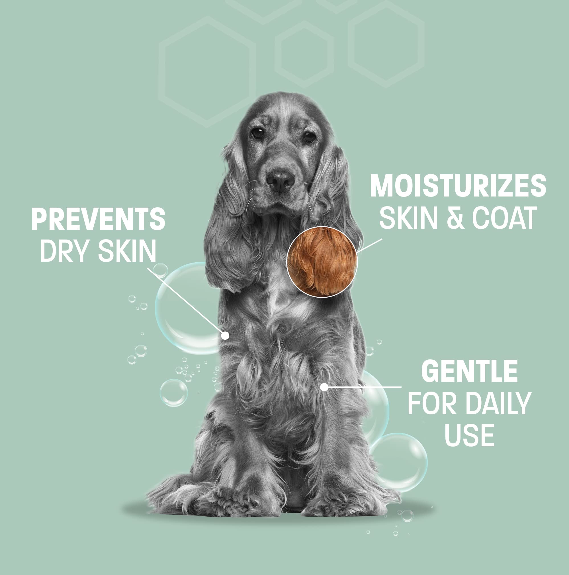 Pet Health Pros Aloe Oatmeal Shampoo for Dogs - Sensitive Skin Dog Shampoo for Allergies and Itching - Moisturizing Soap Free Al