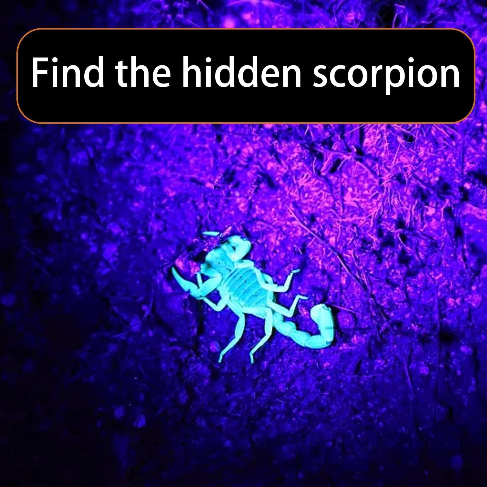 Generic UV Flashlight - 12 LED Black Light Mini Pet Urine Detector for Dogs/Cats, Dry Stains, Resin Curing, Bed Bug Detection