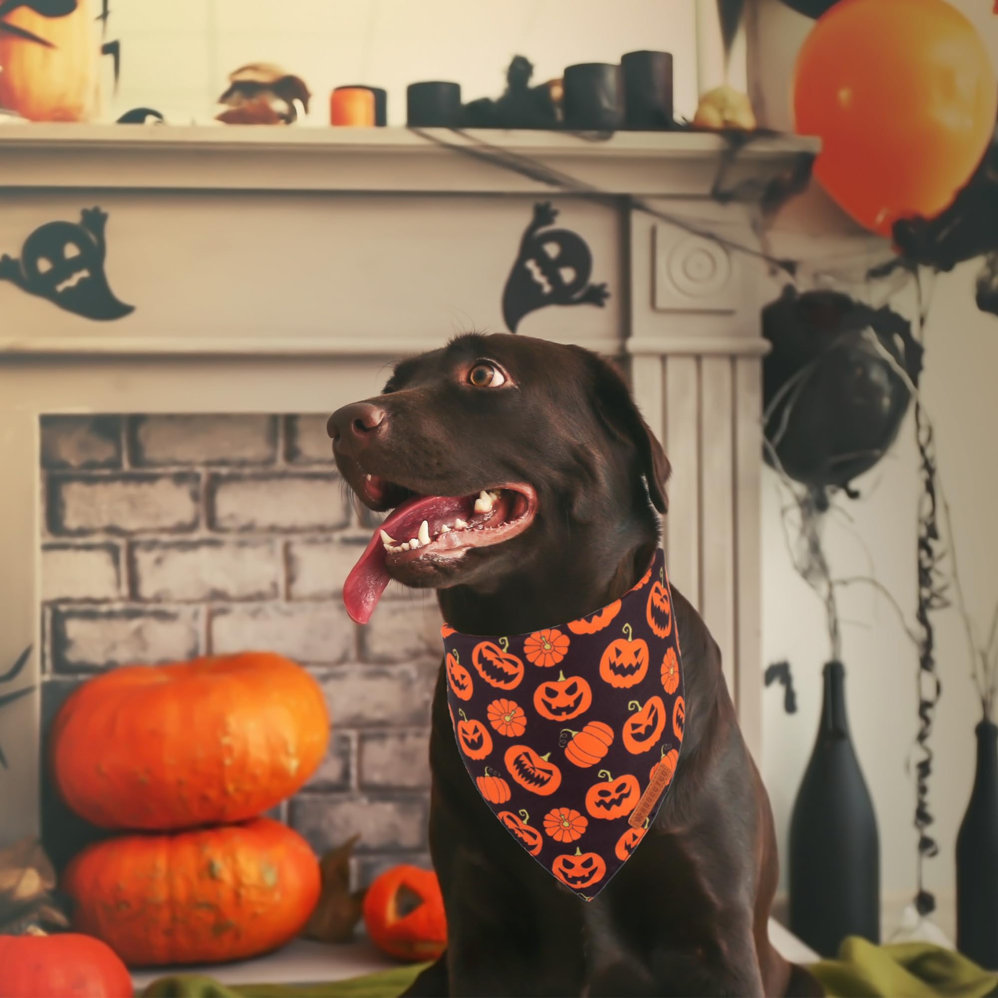 Adoggygo Halloween Dog Bandana, Pumpkin Bat Design X-Large Dog Scarf, Premium Durable Fabric, Orange Black Dog Halloween Bandanas For Large And Extra Large Dogs Pets (X-Large, Halloween)