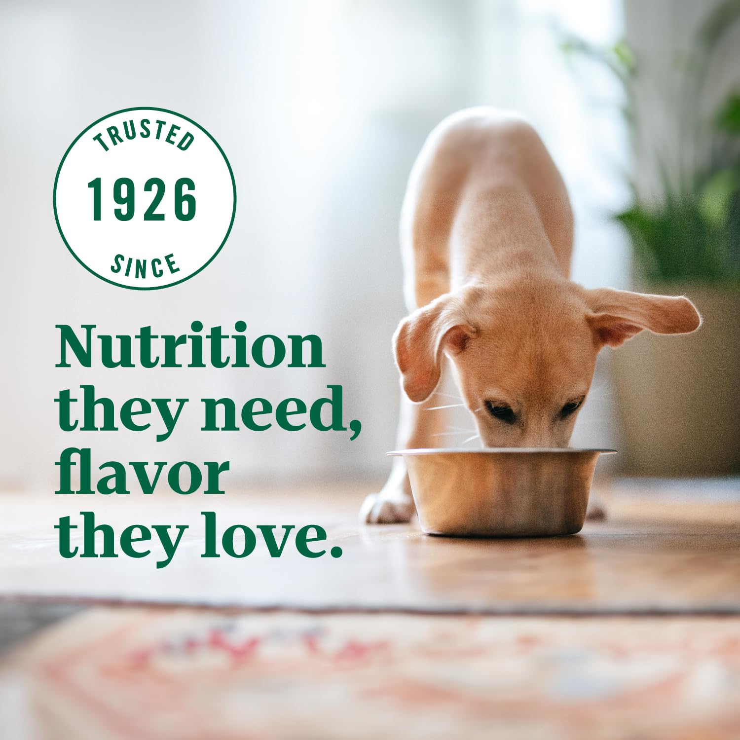Nutro Ultra High Protein Dry Puppy Food, Trio of Proteins from Chicken, Lamb and Salmon, 22 lb Bag