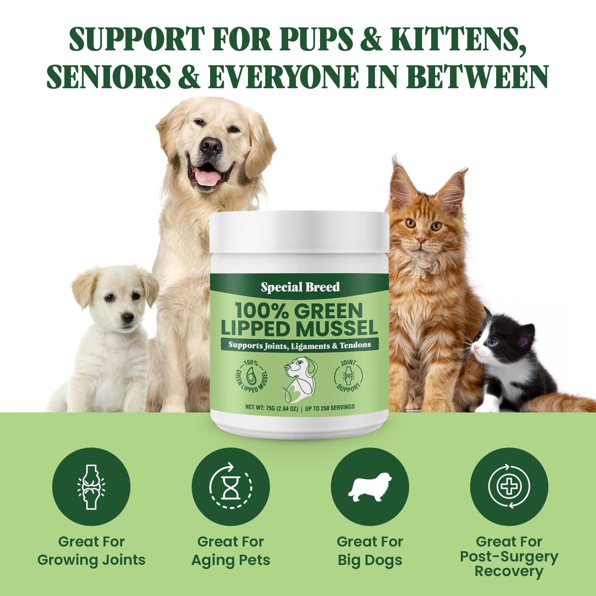 Green Lipped Mussel Powder for Dogs & Cats - 100% New Zealand Green Lipped Mussels - Natural Hip & Joint Supplement for Joints,
