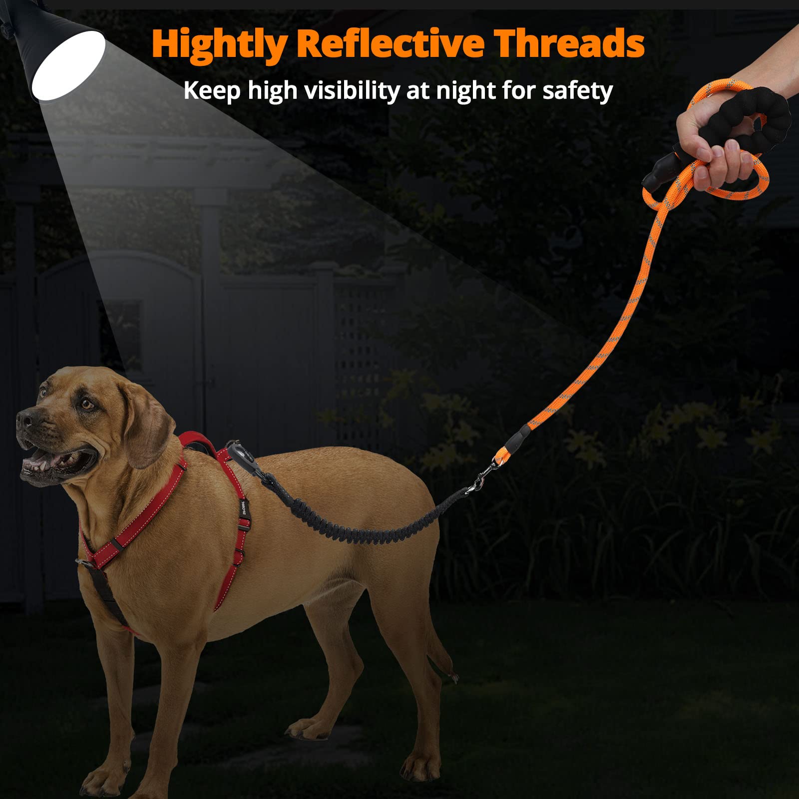 Jenico Long Dog Leash 25Ft: Heavy Duty Nylon Rope Leashes For Dogs Training With Reflective Threads Bungee And Padded Handle - Dog Lead For Large Small Medium Dogs Outside Walking Hiking