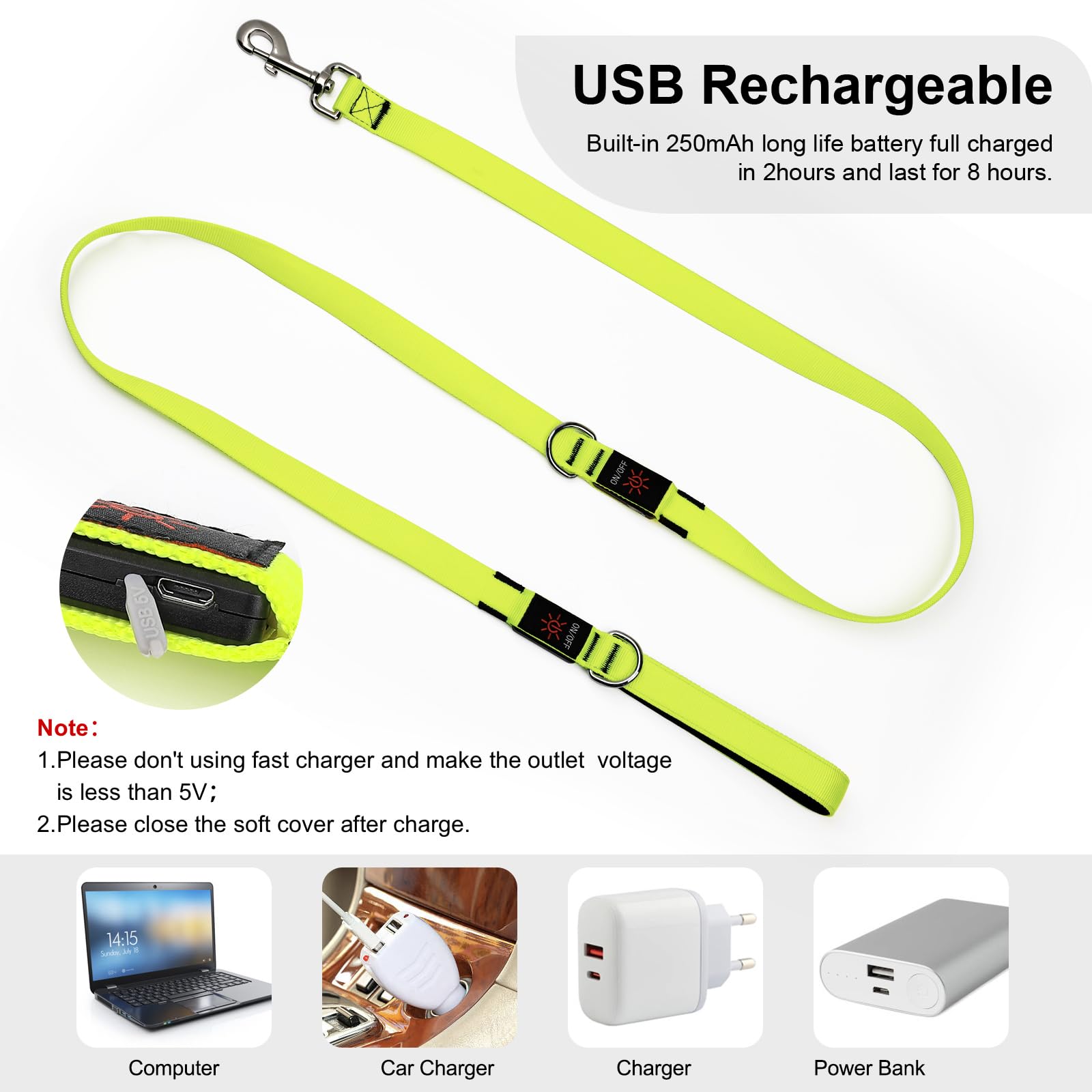 Colaseeme LED Dog Leash Light Up Dog Leash 6 Feet Micro USB Rechargeable Nylon Webbing Glow Safety Standard Dog Leashes for Dogs