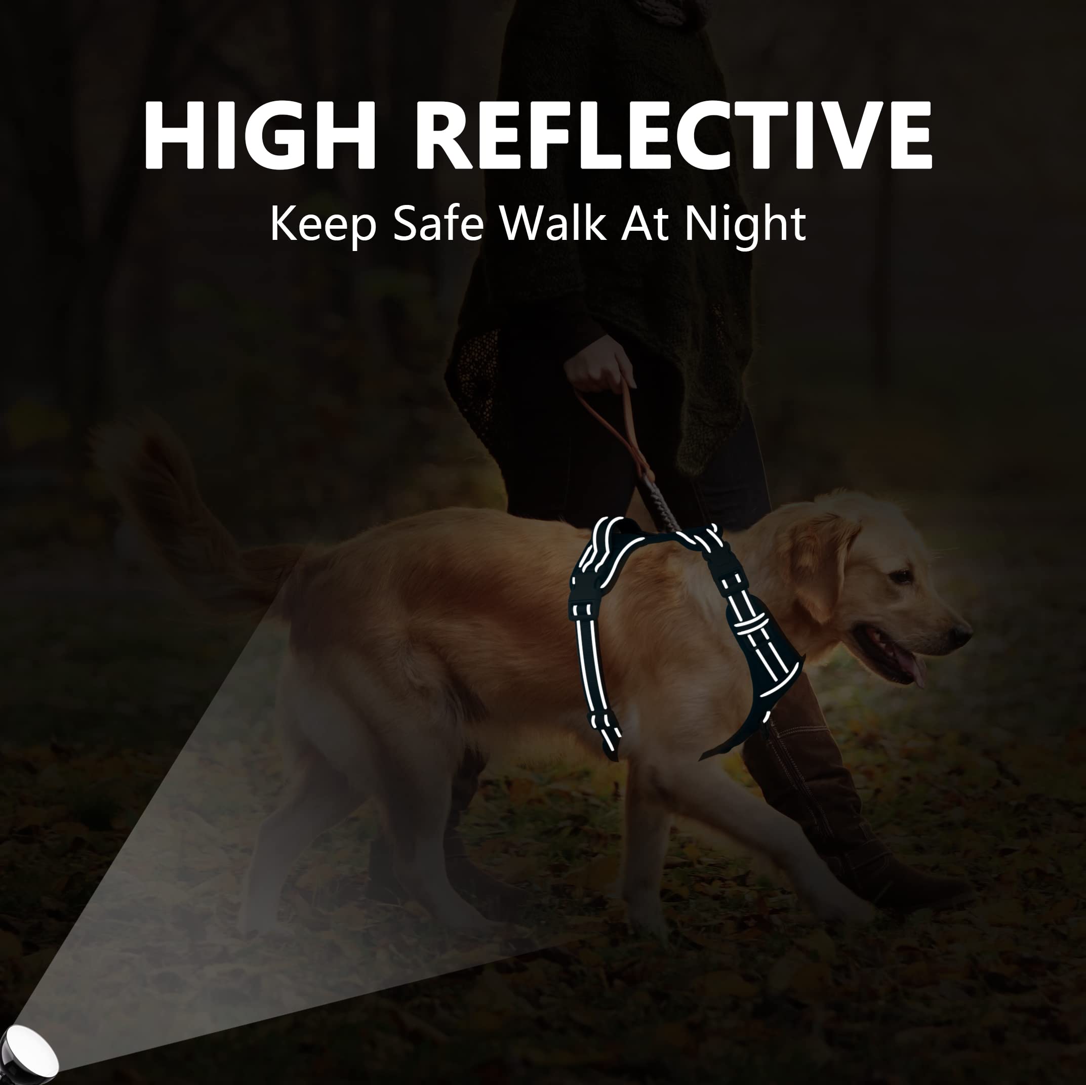 Poypet No Pull Dog Harness, No Choke Reflective Dog Vest, Adjustable Pet Harnesses With Easy Control Padded Handle For Small Medium Large Dogs(Light Blue Matching Trim,L)