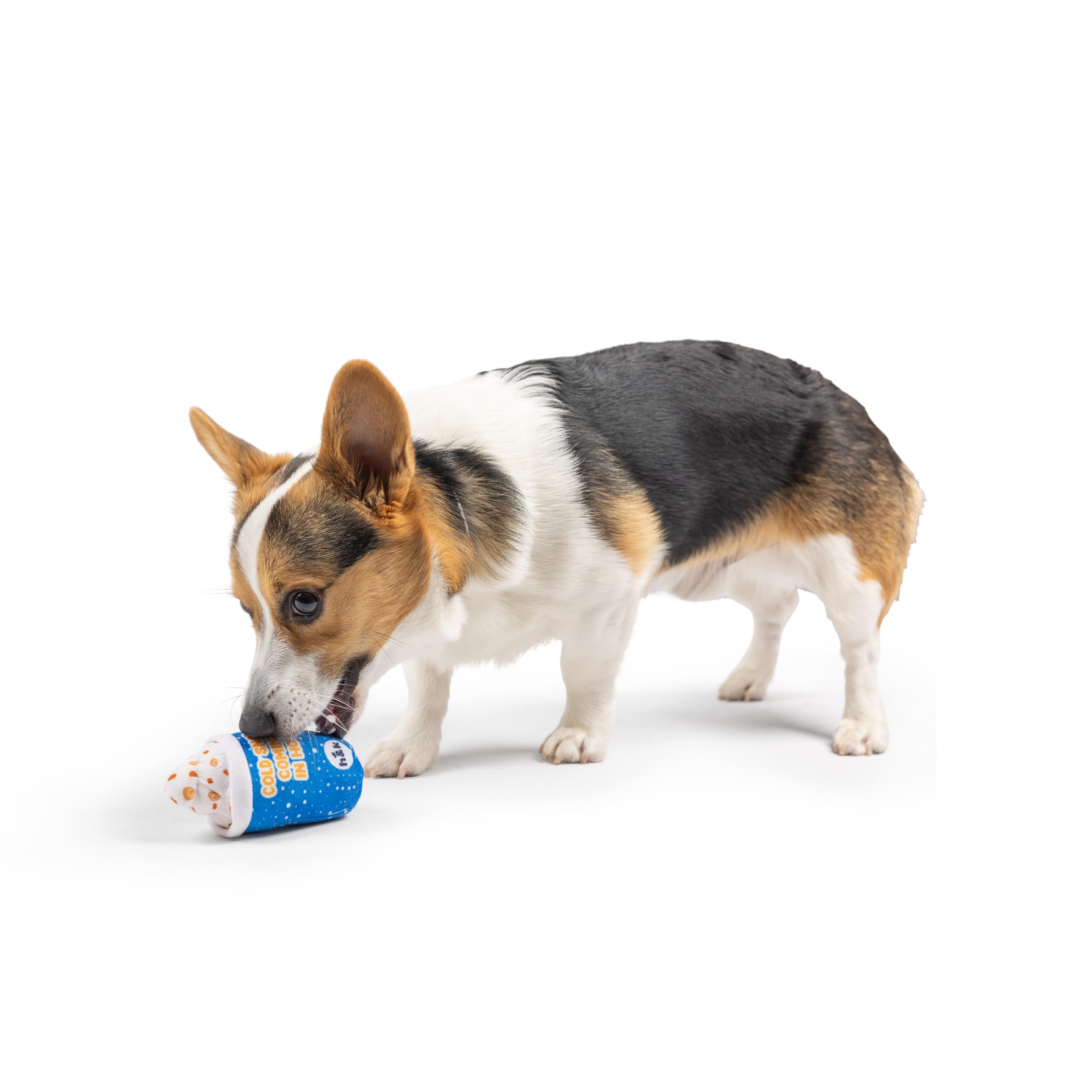 Huxley & Kent H&K Dog Tiny Tuff Arctic Blast Treat