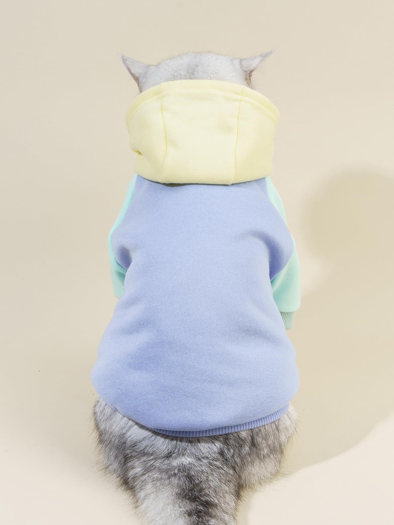 Qwinee Basic Dog Hoodie & Cat Apparel - Dog & Cat Jacket - Small & Medium Sizes - Yellow & Blue