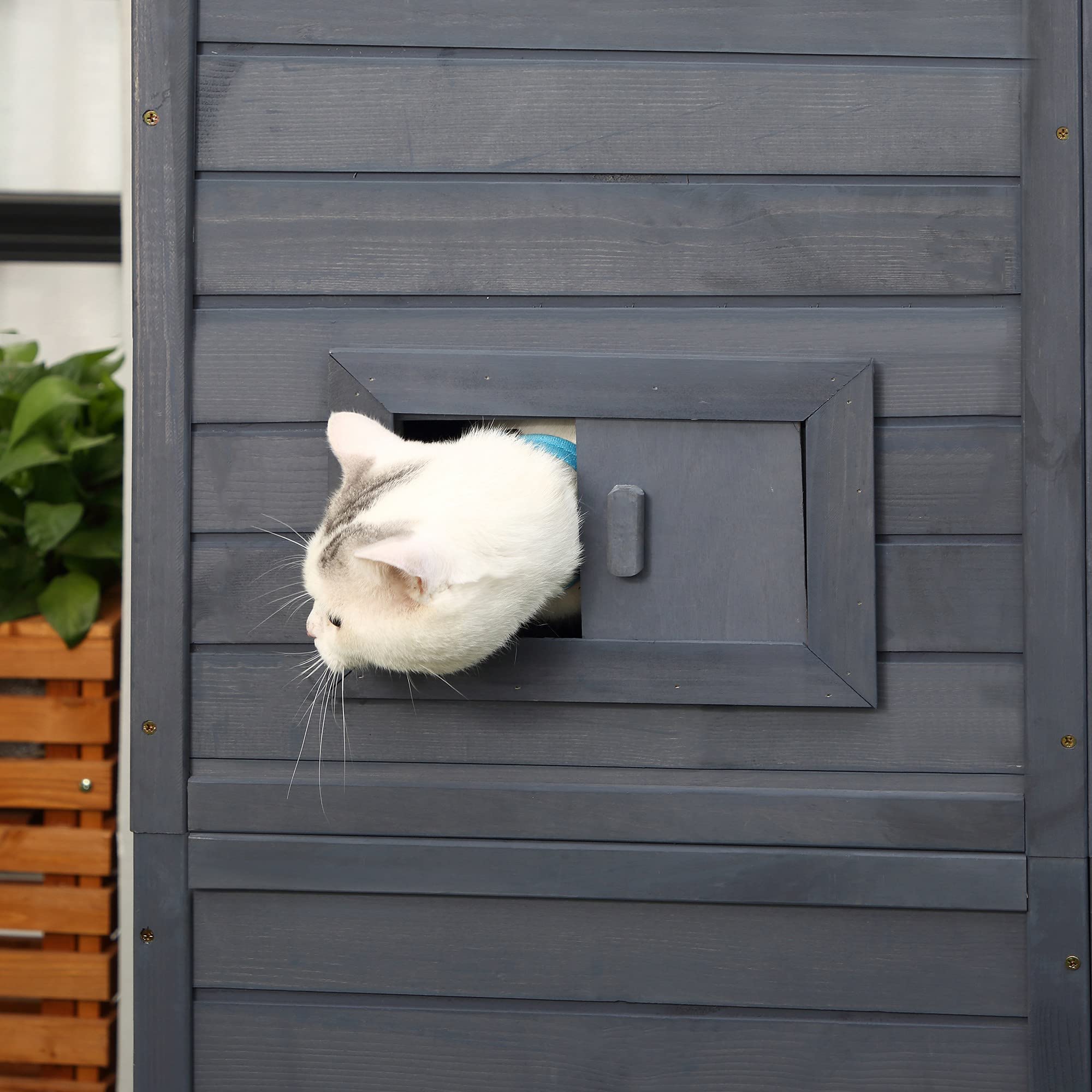 PawHut Large Cat House Outdoor Catio Wooden Feral Cat Shelter, Kitten Enclosure with Door, Cat Condo and Weather Protection Asph