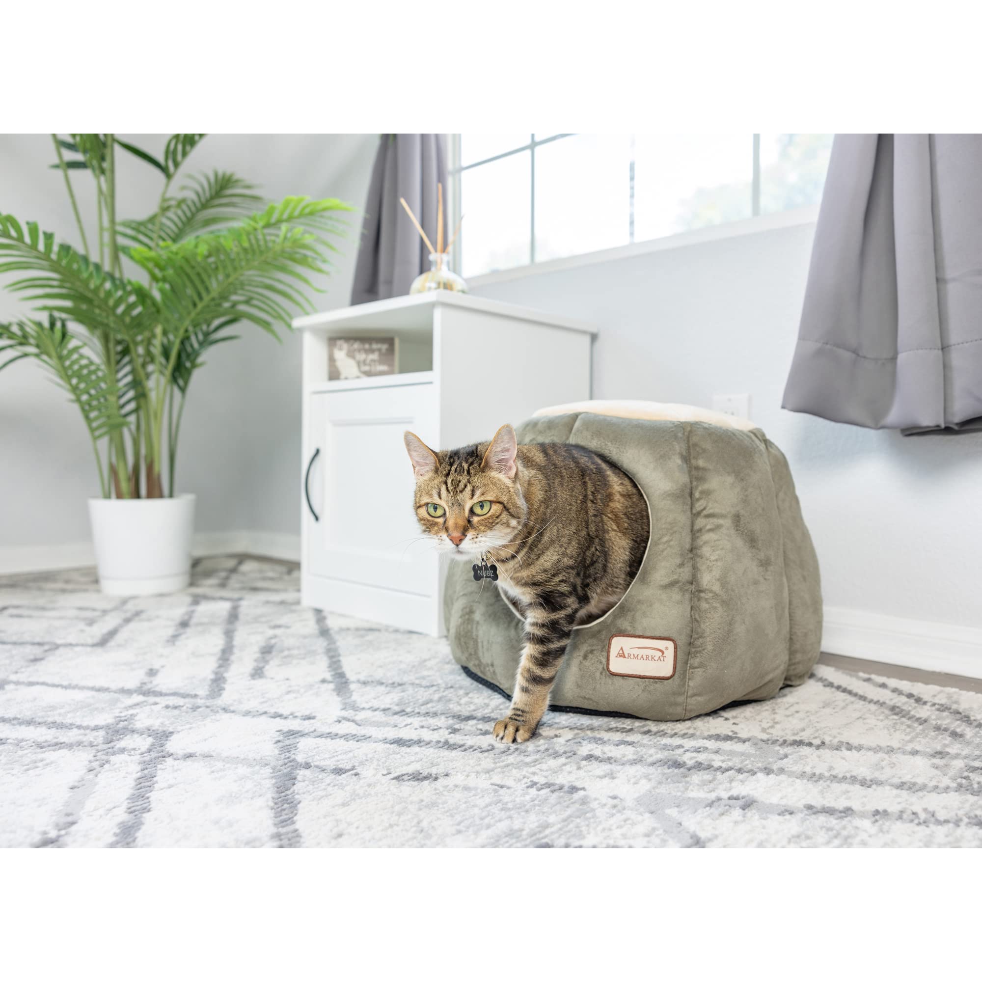 Armarkat Cat Bed, Laurel Green and Beige