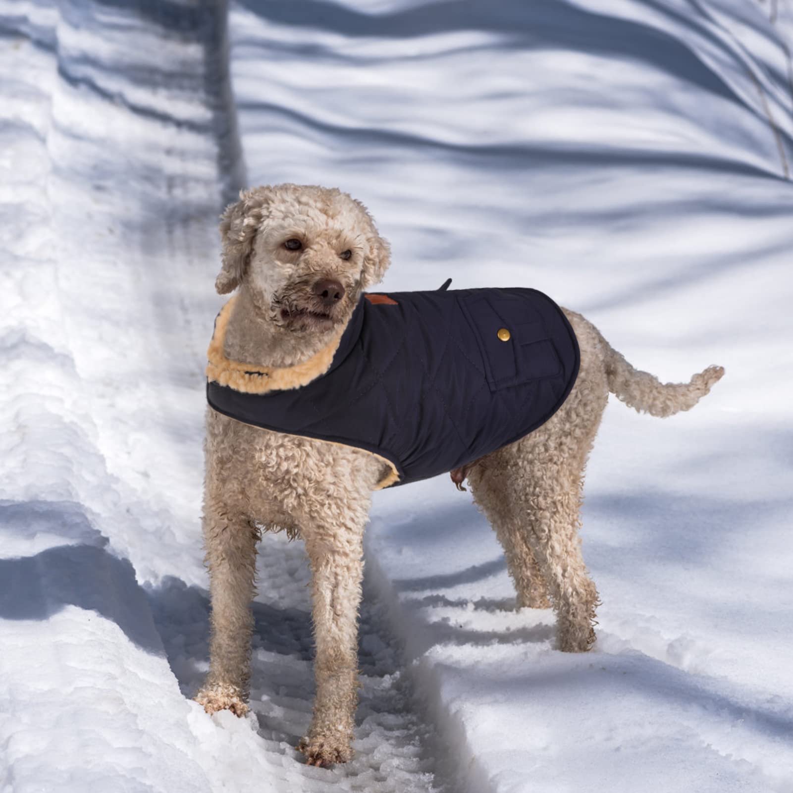 Queenmore Cold Weather Dog Coat, Winter Quilting Dog Jacket Ultra Warm Thick Plush Lining With Storage Pockets (Dark Navy, Medium)