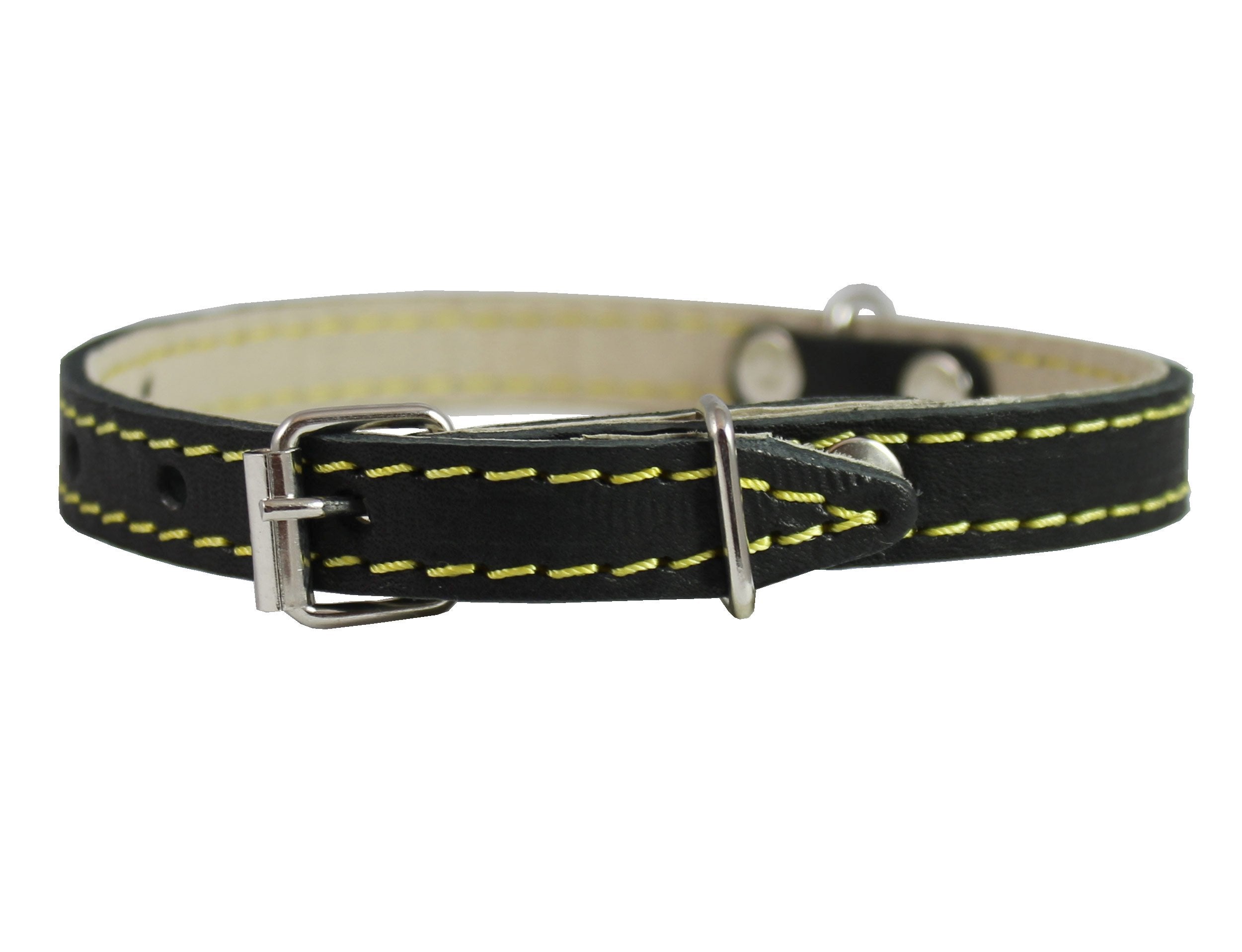 Black Real Leather Dog Collar 9.5'-13' Neck Size, 1/2' Wide Yorkshire Terrier, Puppies