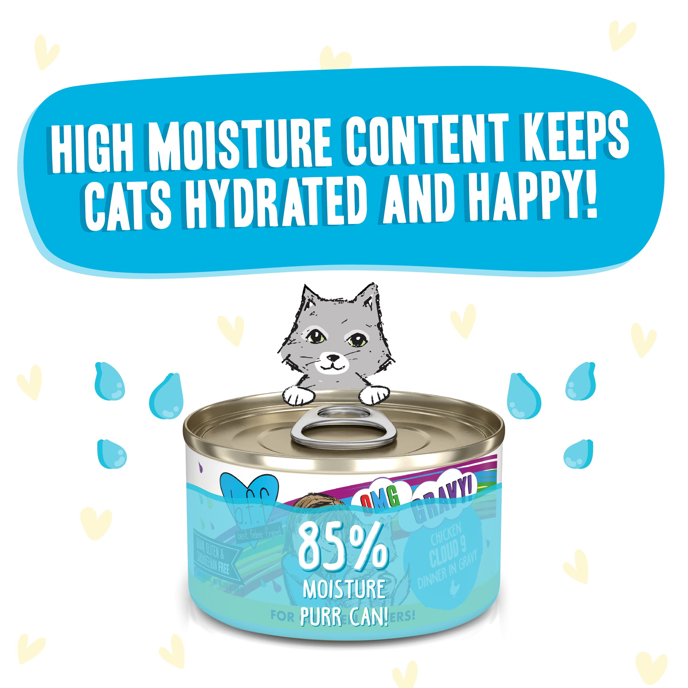 Weruva B.F.F. OMG - Best Feline Friend Oh My Gravy!, Chicken Cloud 9 with Chicken in Gravy, 2.8oz Can (Pack of 12)