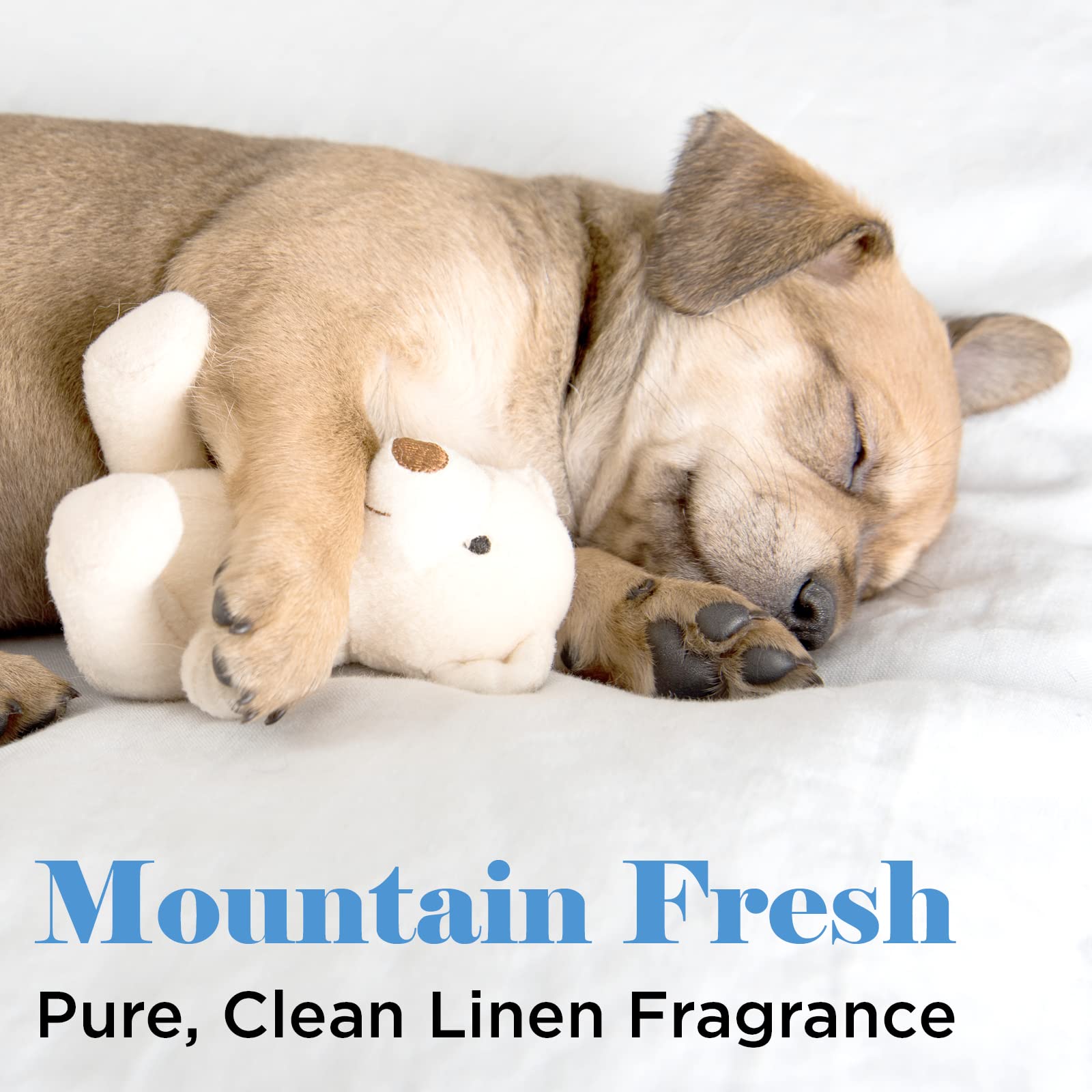 Groomer Essentials Mountain Fresh Cologne - 8 Oz