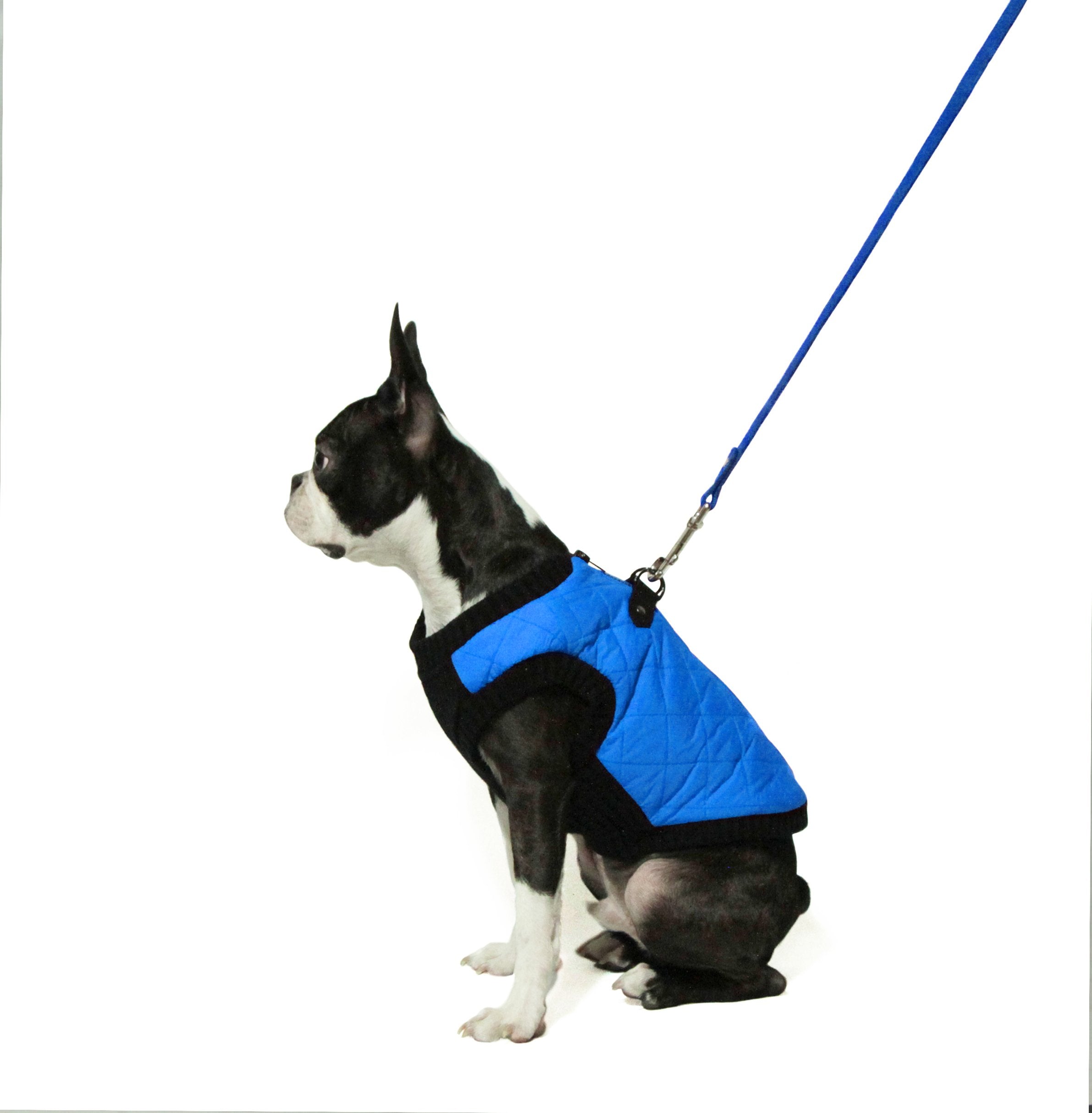 Gooby Fashion Vest Dog Jacket - Blue, Large - Warm Zip Up Dog Bomber Vest With Dual D Ring Leash - Winter Water Resistant Small Dog Sweater - Dog Clothes For Small Dogs Boy Or Medium Dogs