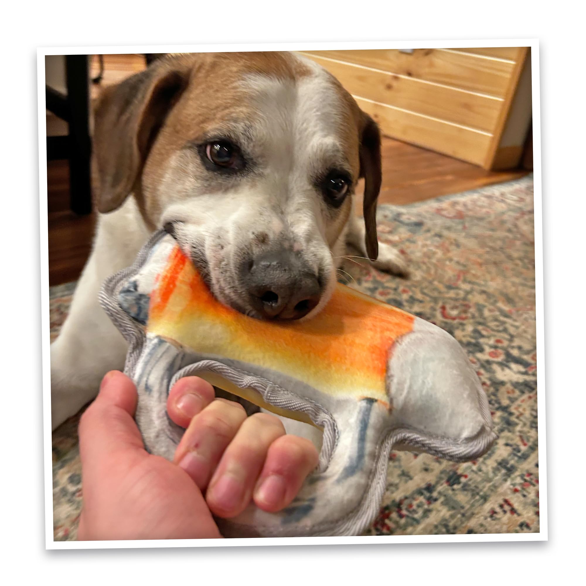 Doggijuana | Tuffer Chewer - Interactive Dog Toy with Juananip Refill | Refillable Durable Dog Toy for Engaging Play and Natural