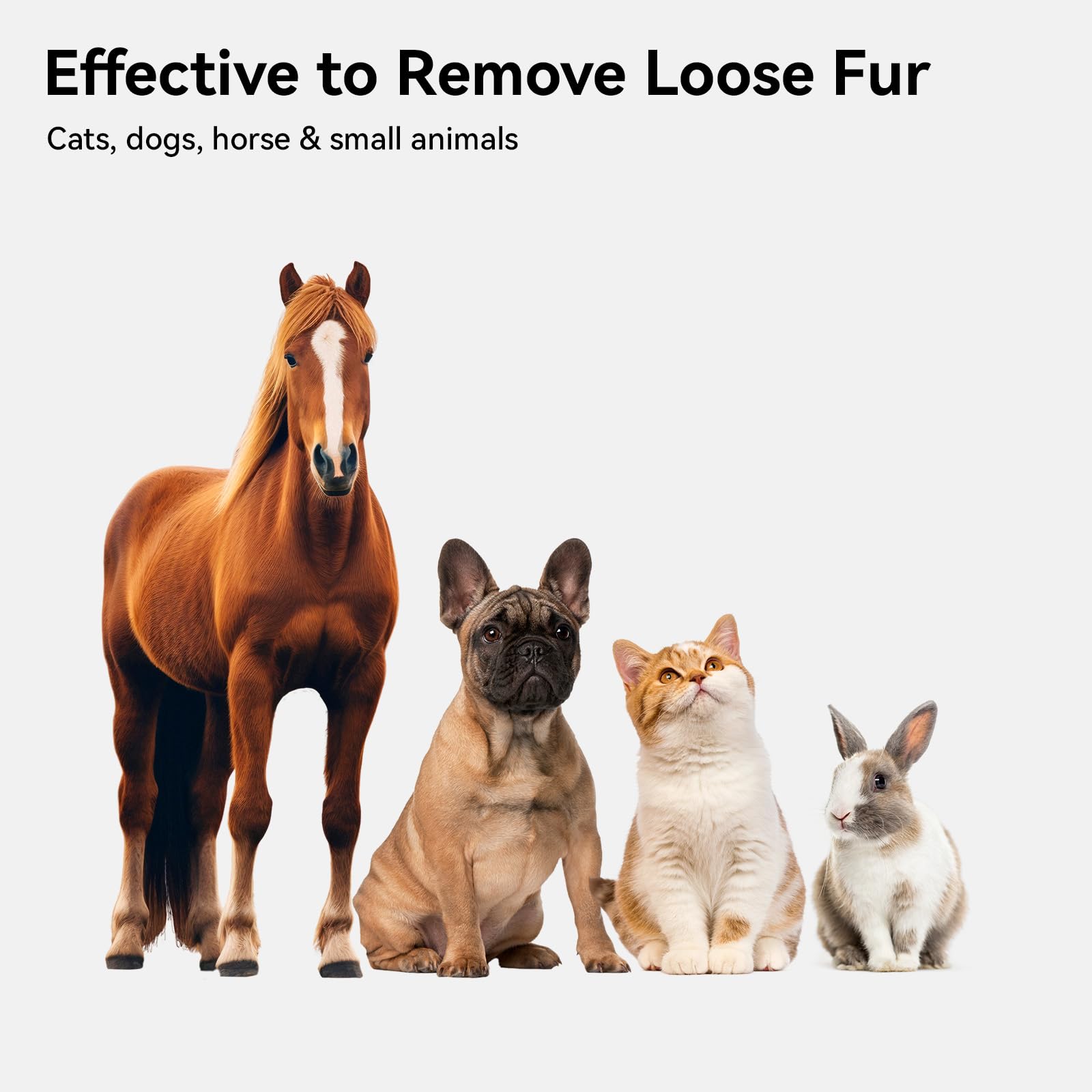 Aumuca Cat Brush For Shedding, Cat Brushes For Indoor Cats, Cat Brush For Long Or Short Haired Cats, Cat Hair Brush Cat Grooming