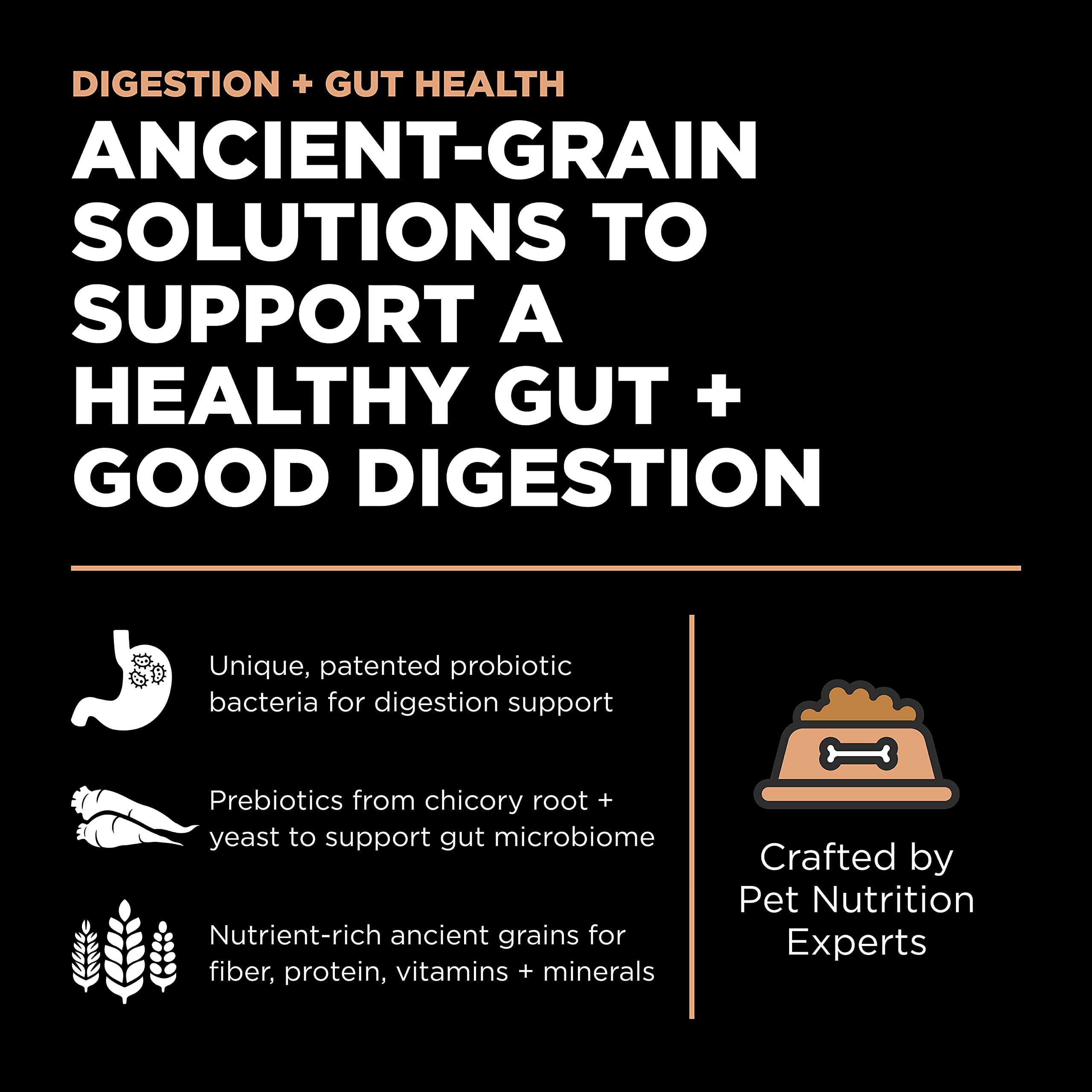 Go! Solutions Digestion + Gut Health Salmon Dry Cat Food, Premium Chicken-Free Kibble for Gastrointestinal & Digestive Wellness,
