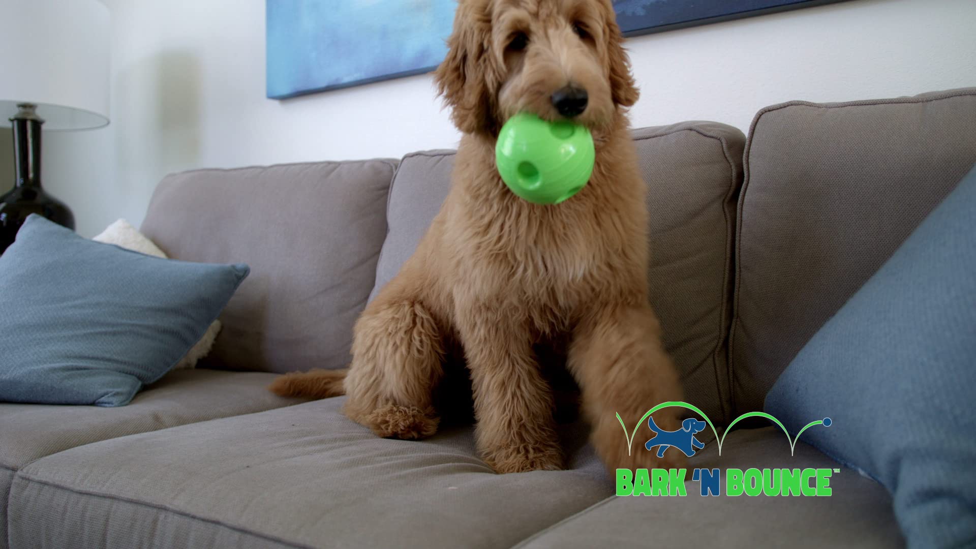 Bark N Bounce Interactive Dog Toy Ball - Large 6.5in, Bouncing & Laughing Fun for Dogs 30lbs, All Breeds - The Outdoor Optimist