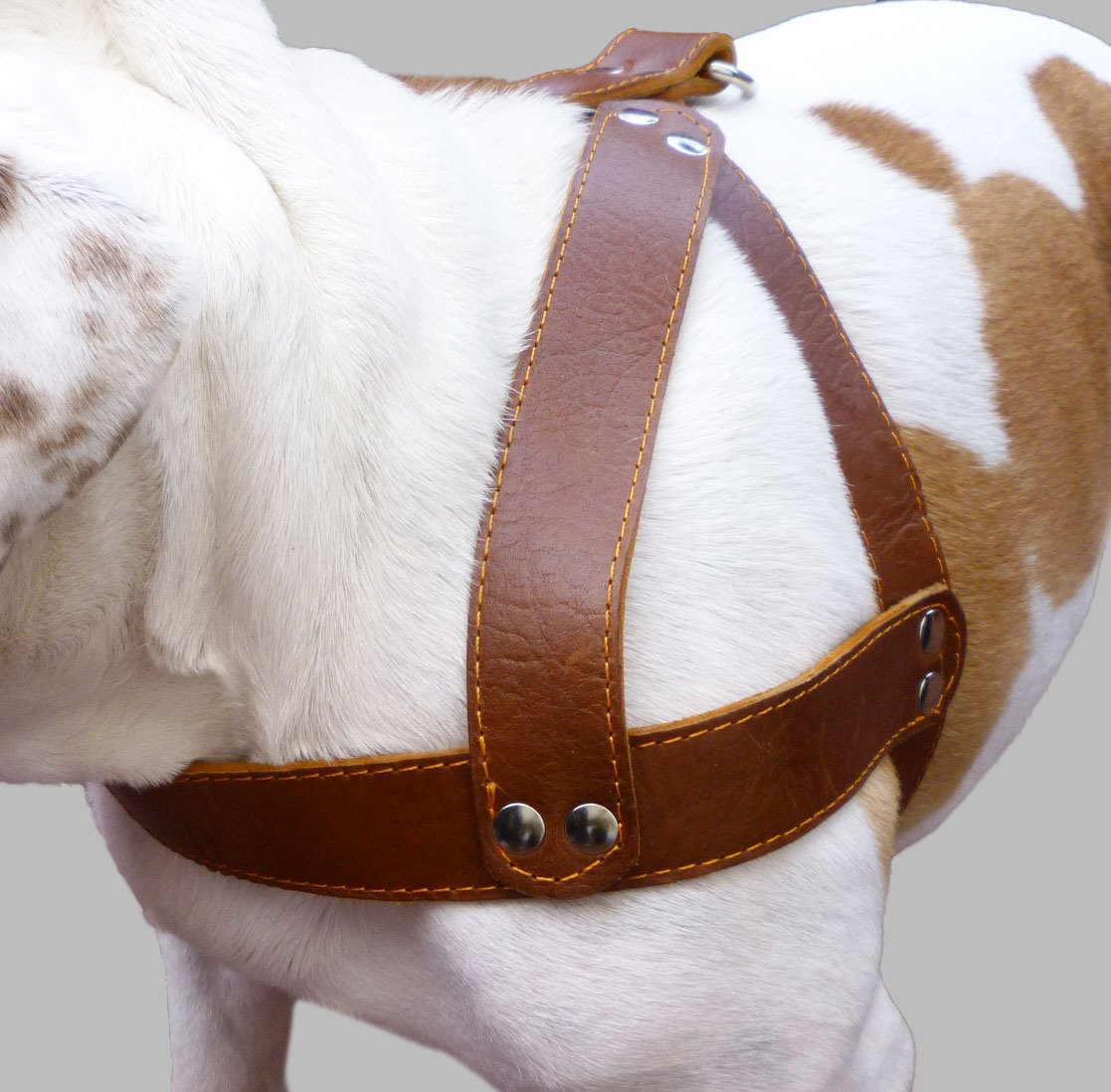 Brown Leather Dog Harness, Large. 28'-34' Chest, 1.5' Wide Straps, Rottweiler Bulldog