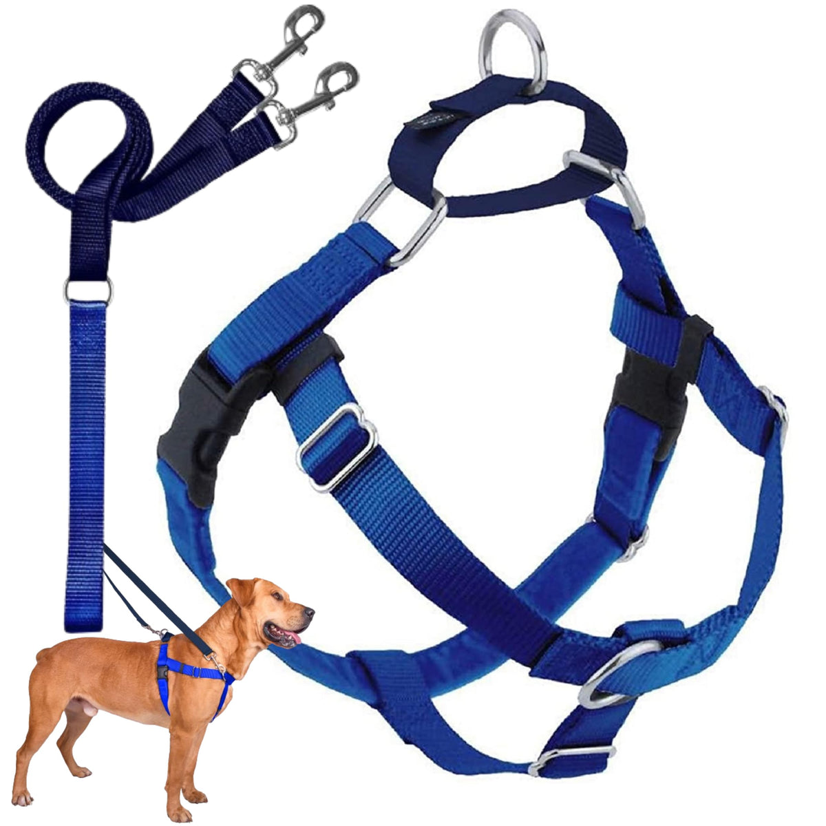 2 Hounds Design Freedom No Pull Dog Harness, Adjustable Harness And Leash Set, Easy Walking & Comfortable Control, Fits Small, Medium & Large Dogs, Solid Colors, Made In Usa, 5/8' Xs, Royal Blue