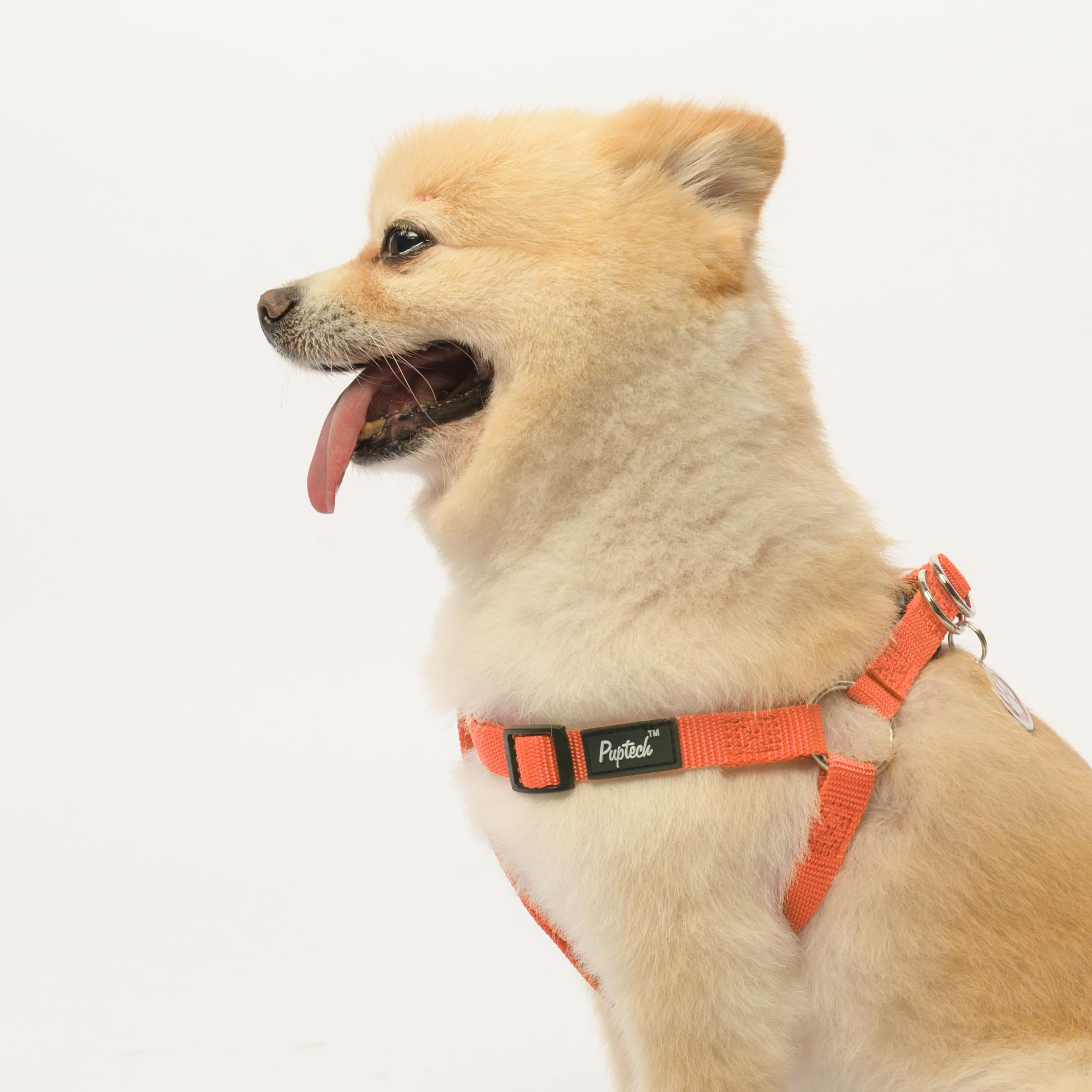 Pupteck No Pull Dog Harness Soft Adjustable Basic Nylon Step In Puppy Vest Outdoor Walking With Id Tag X-Small Orange