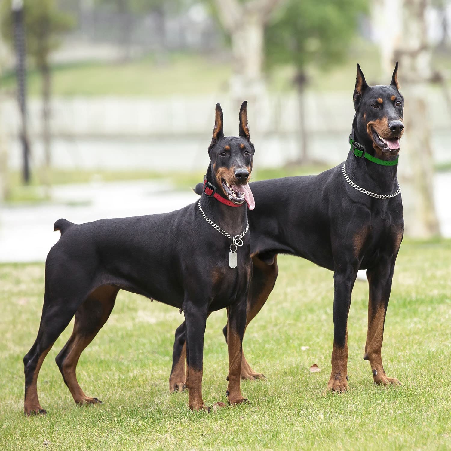 Educator Additional Receiver And Collar Compatible With All Educator Training Systems, Yellow