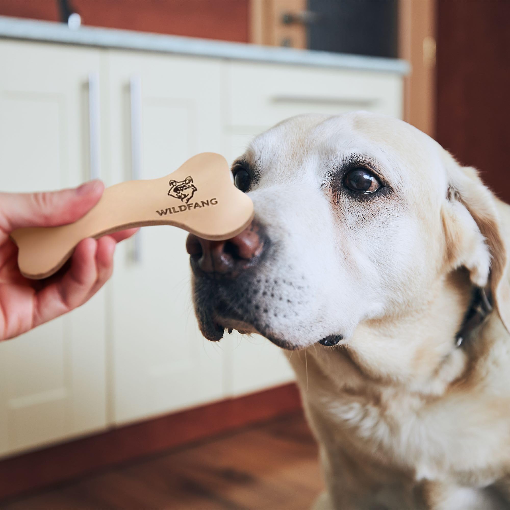 Wildfang® Leather Dog Toy, Medium – Soft Dog Chew Toys for Gentle Chewers, Puppies, Senior or Older Dogs with Sensitive Teeth – Non-Toxic, Stuffless, 5mm Leather Dog Bone for Dogs 22–33 lbs, Pack of 1