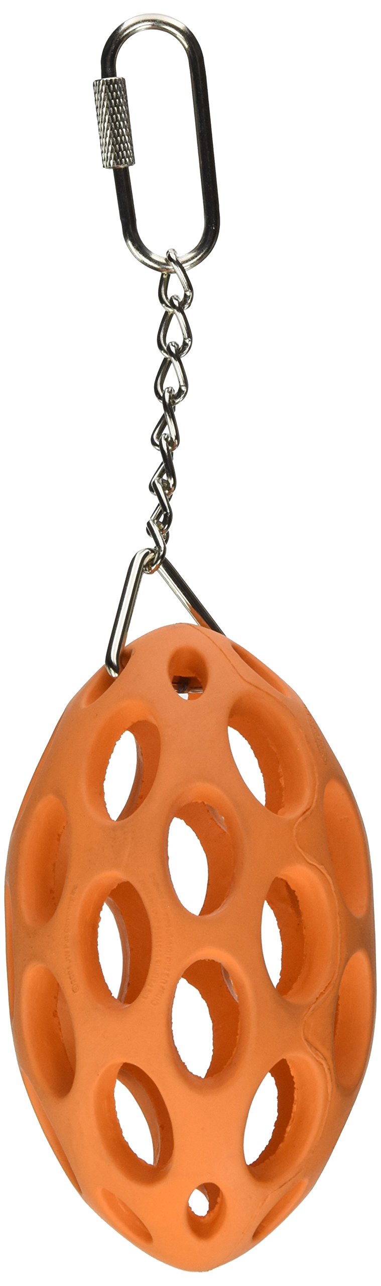 Activitoys Nut Case