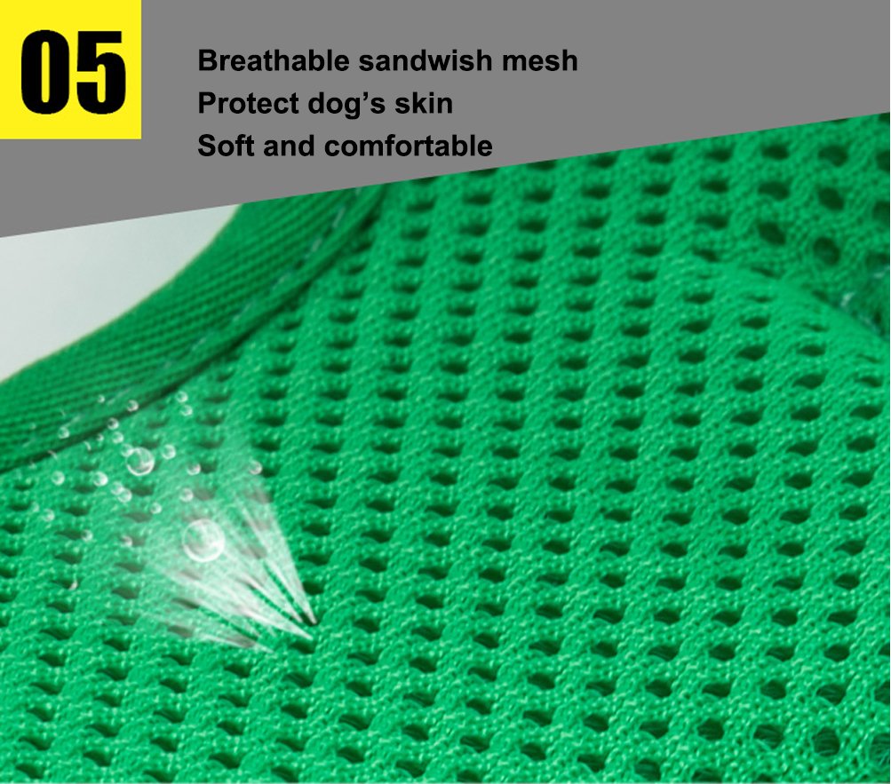 Sgoda Dog Harness, Green, Small