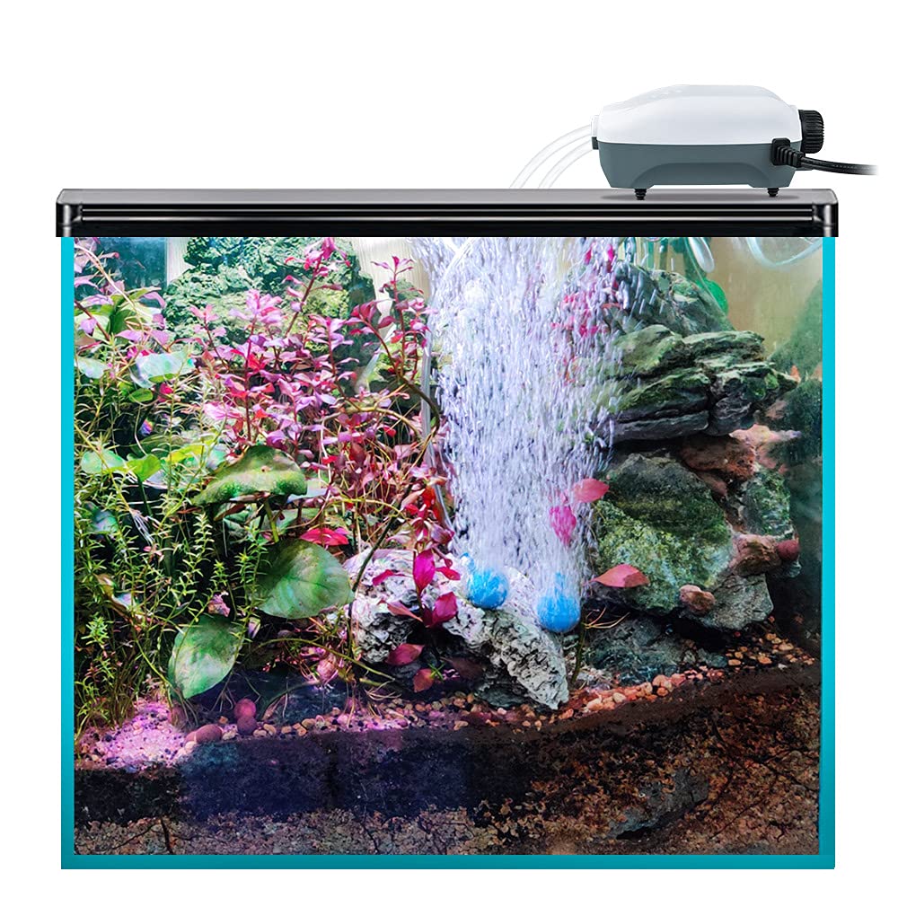 Hitop Dual Outlet Aquarium Electric Air Pump, Whisper Adjustable Fish Tank Aerator, Quiet Oxygen Pump With Accessories For 20 To 100 Gallon (2 Outlets)