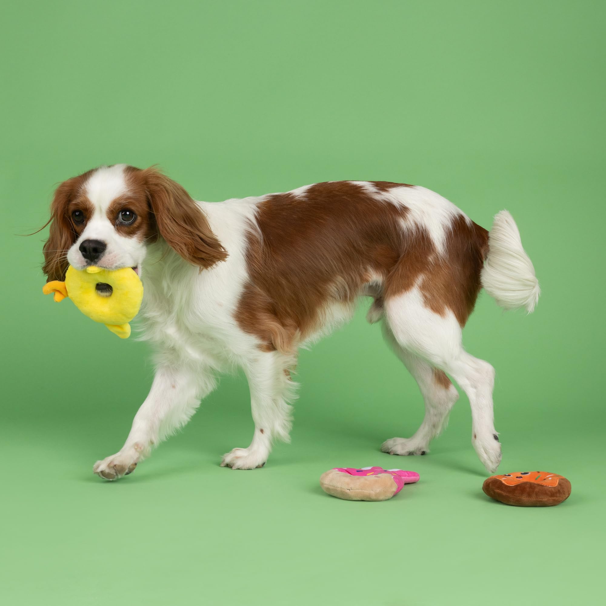 Fringe Studio Plush Dog Toy, 3 Pieces Set, Holey Donuts, Petshop Collection (662098)