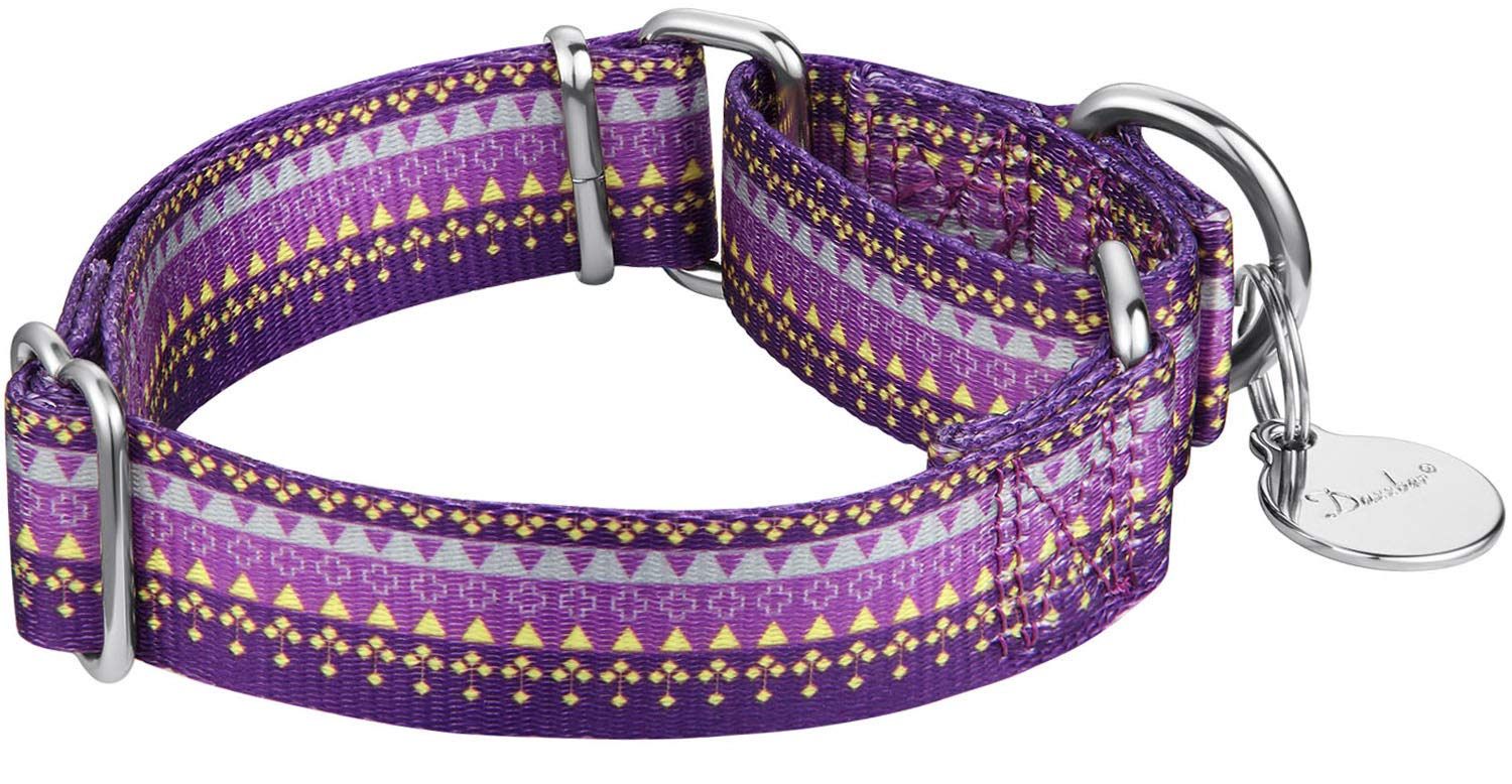 Martingale Collar Floral Print Dog Collar - Dazzber No Pull Pet Collar, Heavy Duty Adjustable Dog Collar, Large, Neck 17 Inch -25 Inch, Elegant Flowers (Dark Blue)