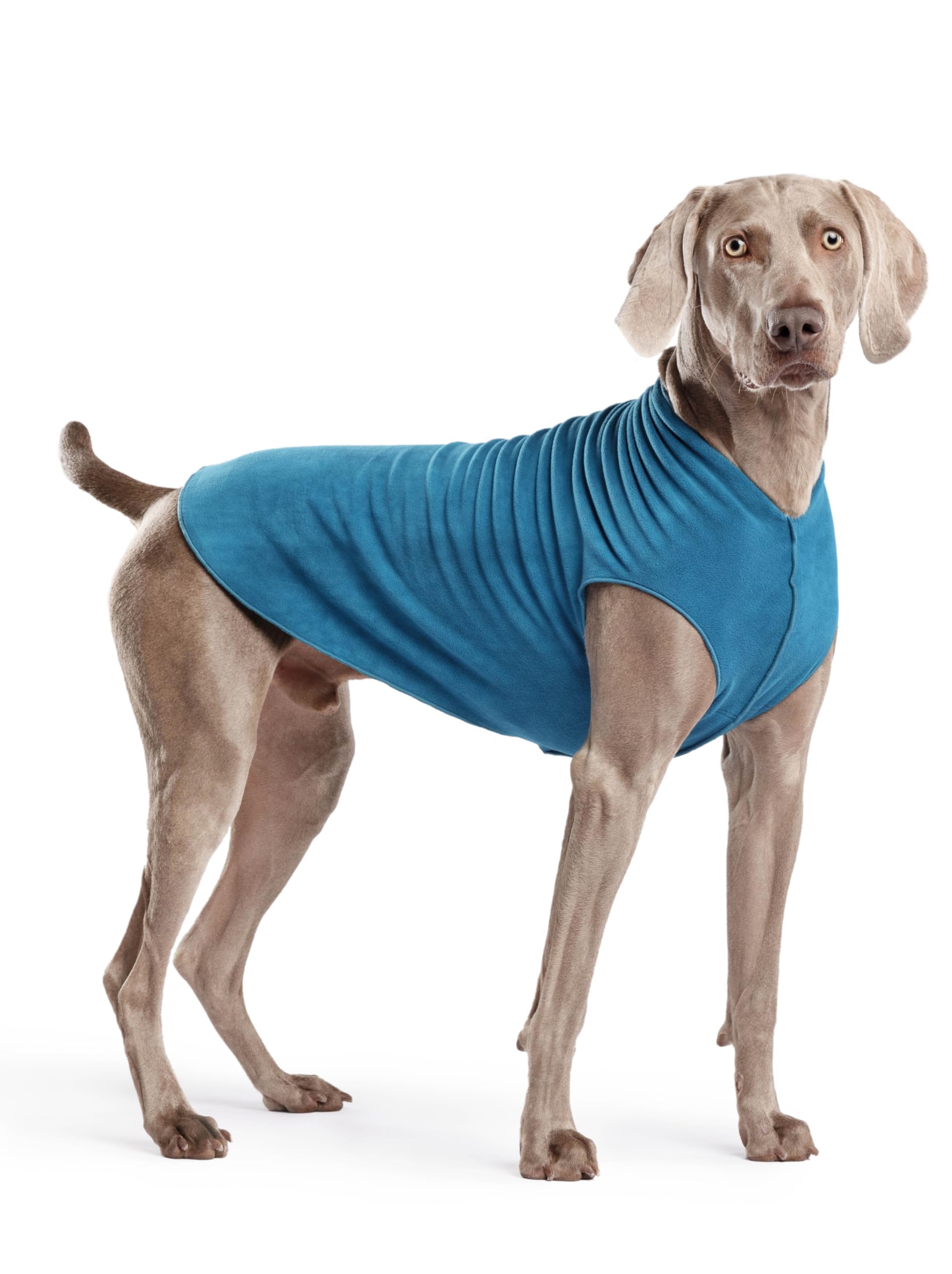 Gold Paw Stretch Fleece Dog Coat, Stretchy Pet Sweater, Machine Washable Pullover For Winter And Fall, Marine Blue, 22