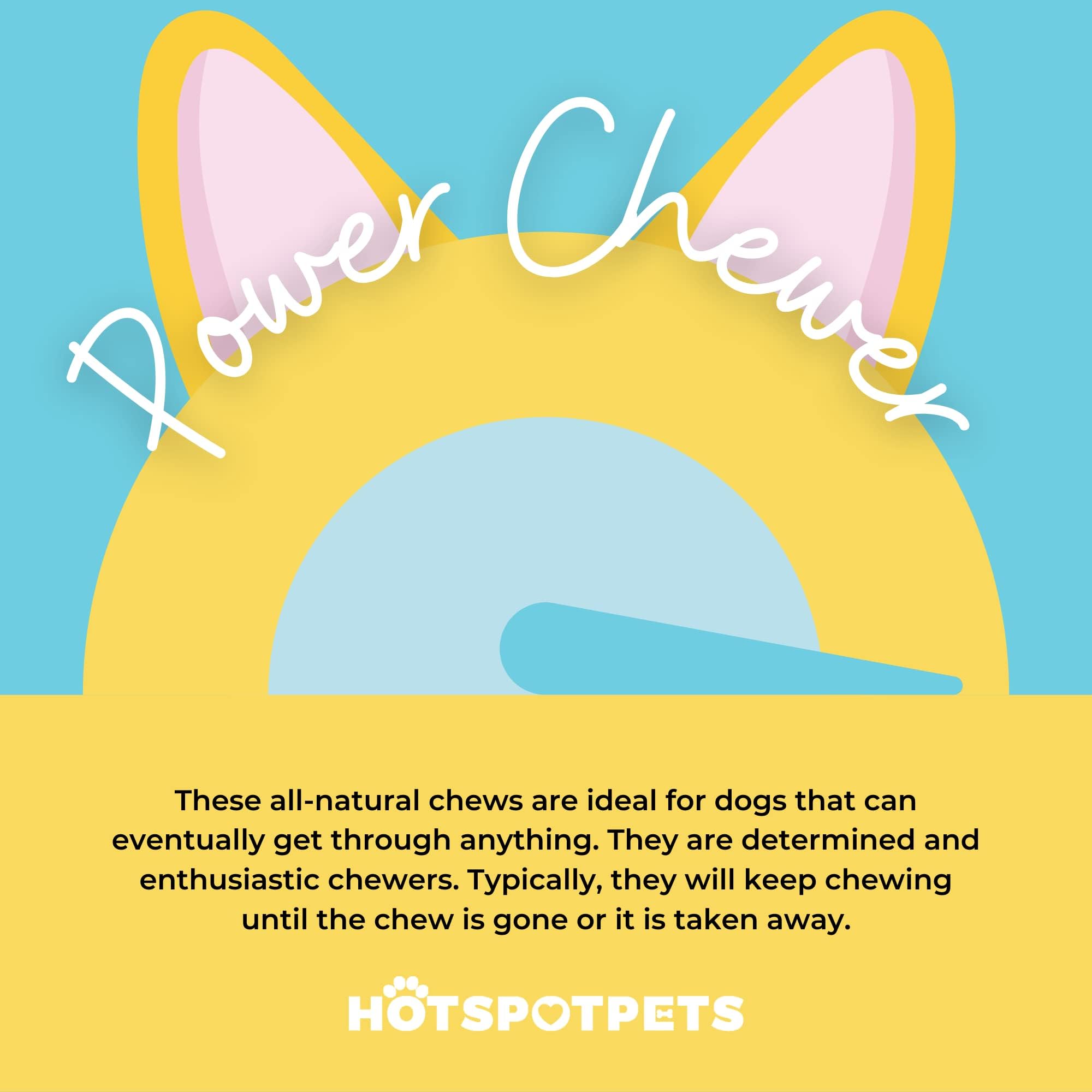 hotspot pets Premium Deer Antlers for Dogs - 7+ Inch Large Antler Dog Chews (2 Pack) Made in USA - Naturally Shed Antler Bone fo