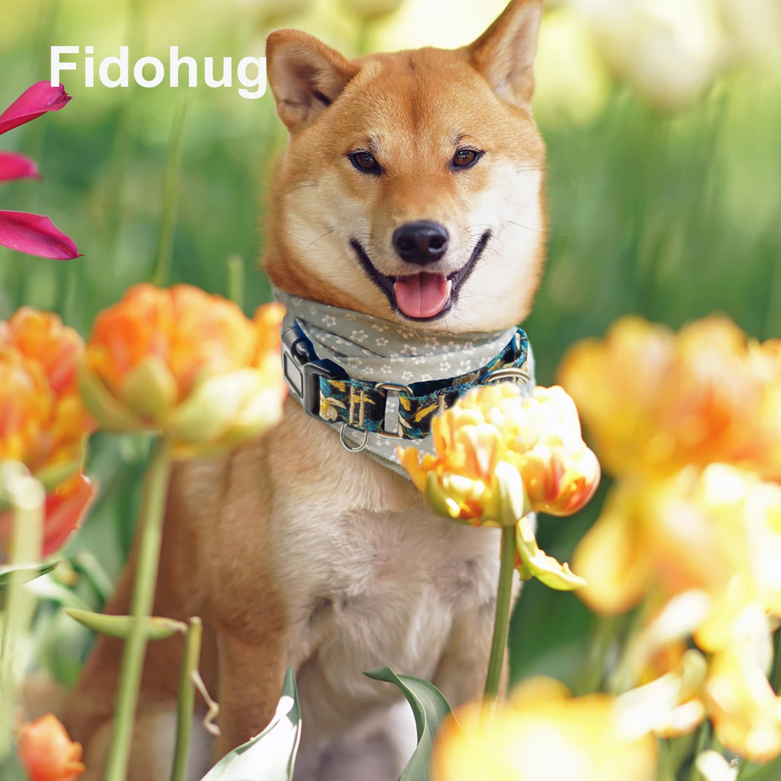 Fidohug Martingale Collar for Dogs with Buckle Pretty Cute Floral Nylon Dog Collars for Medium Dogs (Luxury Golden Flowers, Medi