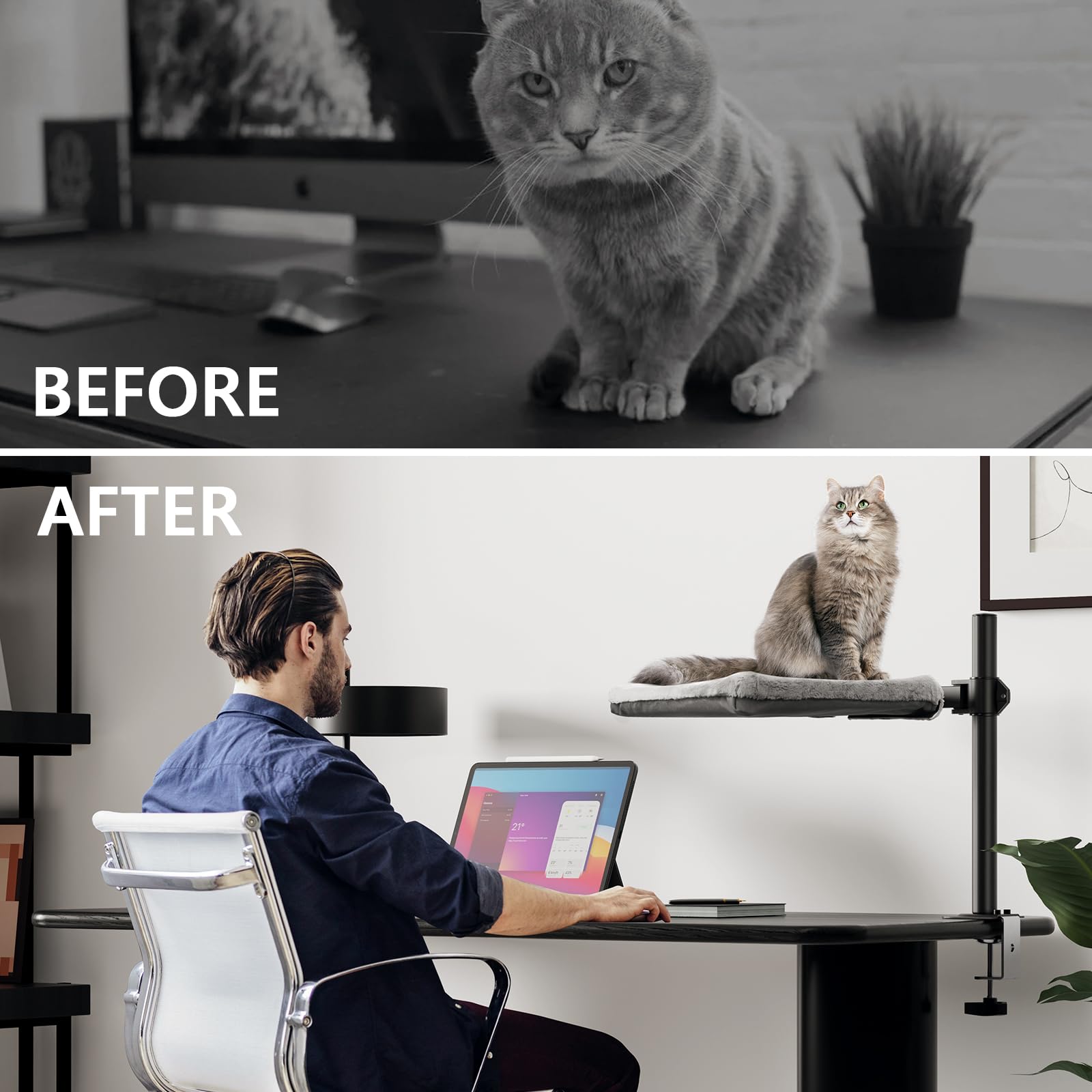 Beisluo Cat Desk Bed - Perfect Cat Hammock For Your Desk Perch Adjustable Steel Frame Soft Fabric Removable Washable 16 Inch Uni