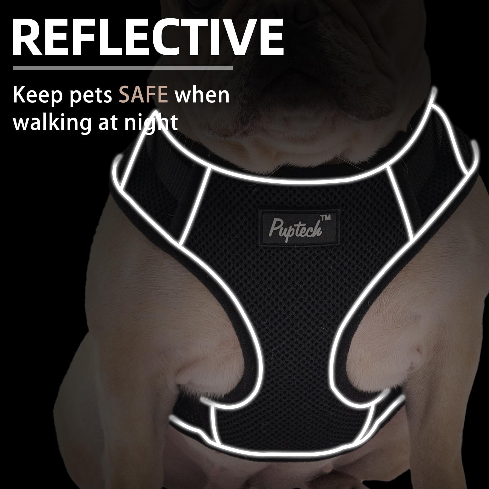 Pupteck Dog Harness And Leash Set For Small Medium Dogs No Pull, Soft Mesh Adjustable Puppy Cat Harness Reflective At Night, Bla