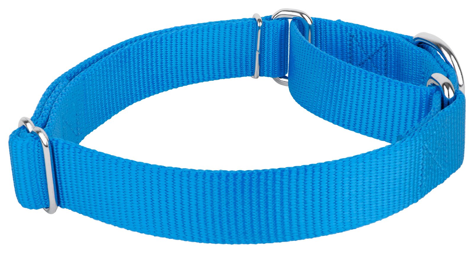 Country Brook Design - Ice Blue Martingale Heavy Duty Nylon Dog Collar - 21 Vibrant Color Options (3/4 Inch Width, Small)
