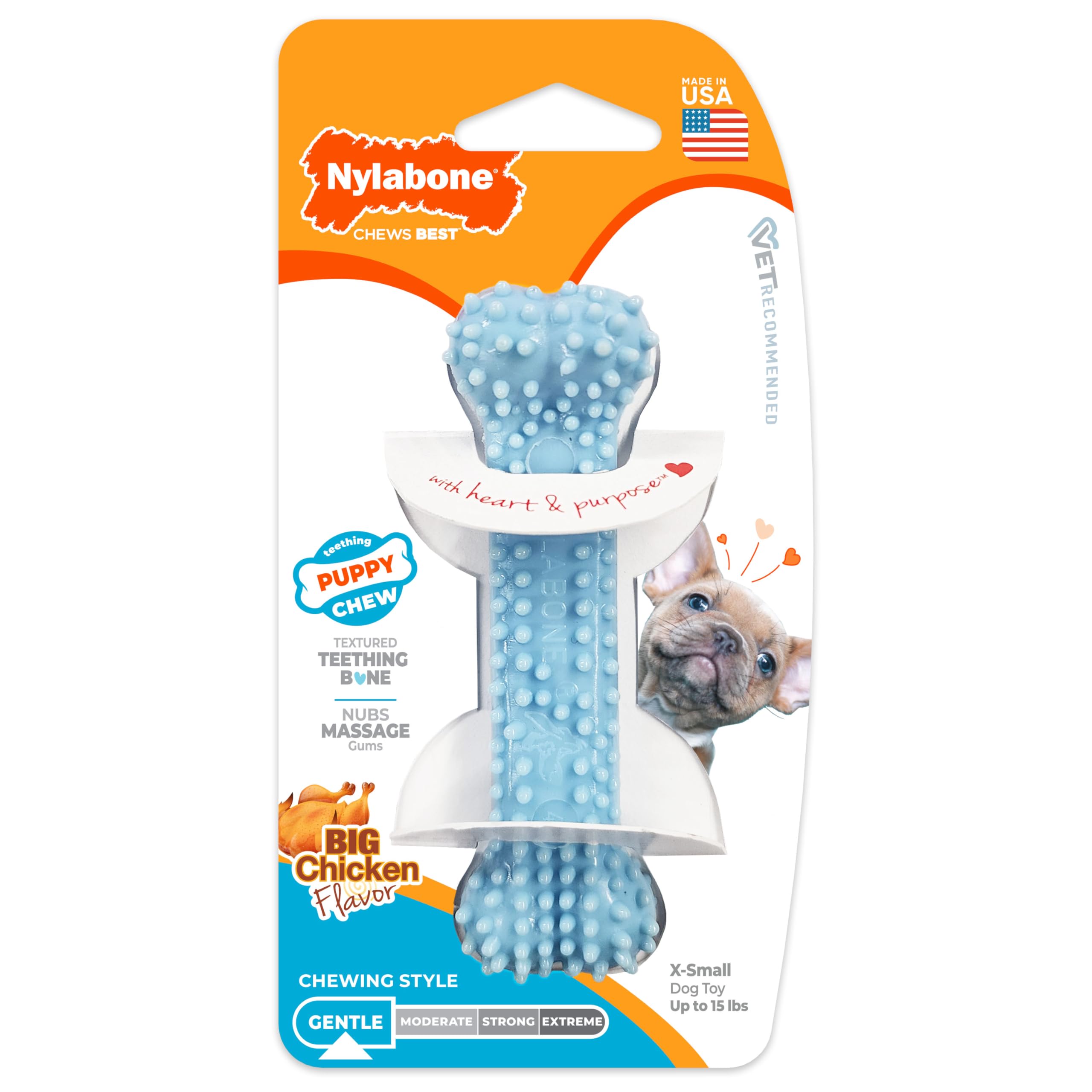 Nylabone Puppy Chew Blue Textured Teething Bone - Chewing Toys for Puppies - Puppy Supplies - Chicken Flavor, X-Small, Up to 15 