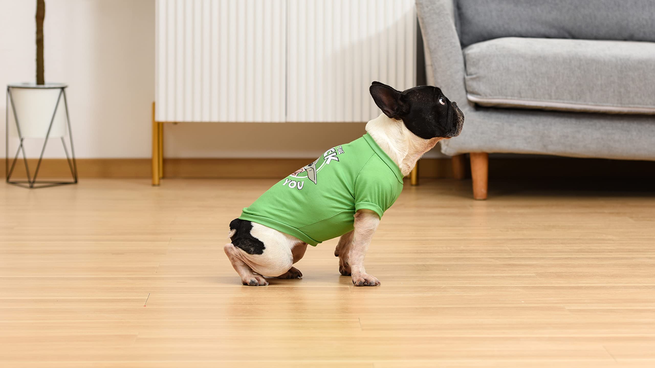 Star Wars For Pets Grogu May The Luck Be With You Dog Tee For St. Patrick’S Day | Size Large | Star Wars Dog Clothing And Apparel, Cute Dog Clothes, Green (Ff20332)