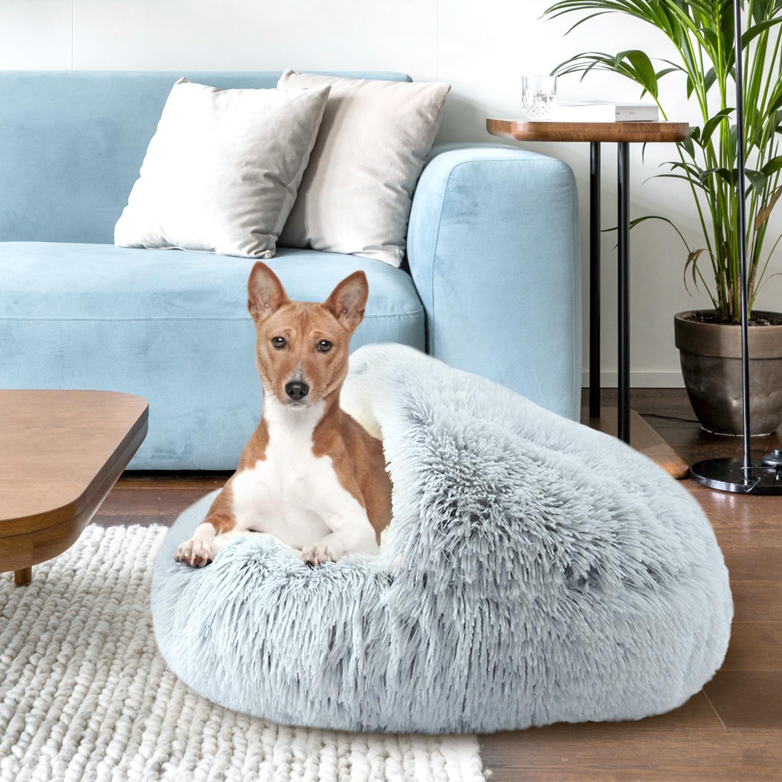 Arquiel Round Plush Hooded Cat Bed, Fluffy Cozy Anti-Anxiety Dog Cave Beds For Puppy And Kitten, Gifts For Pet Lovers(24  24 Inc