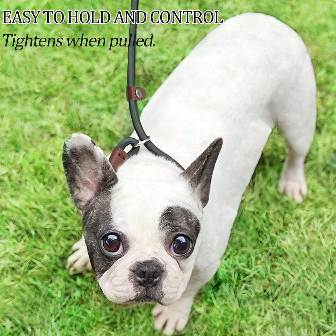 MayPaw Slip Lead Control Leash for Dogs, 7FT x 1/4" Blue Metal Rope, No Pull Design, Ideal for Small Medium Pets